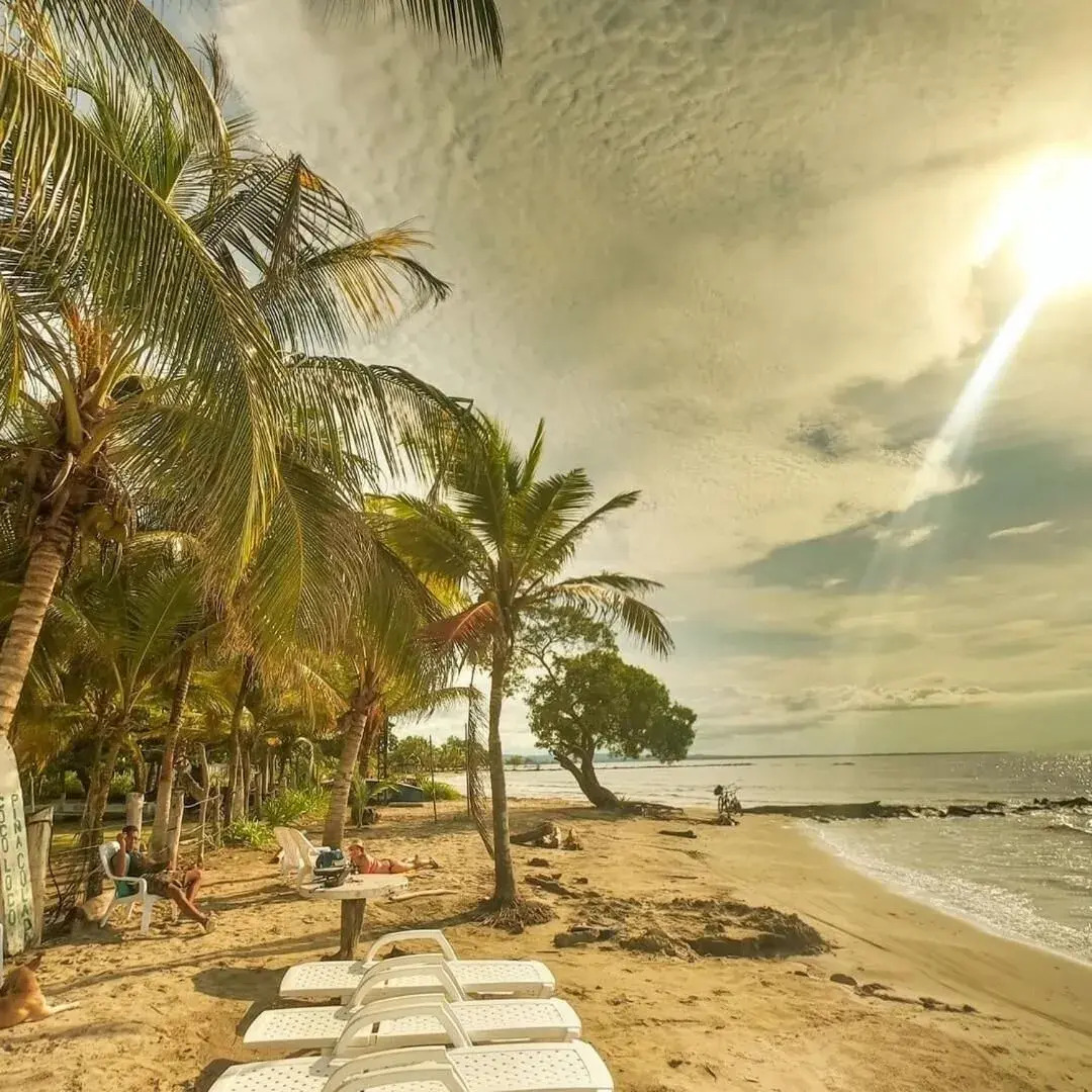 Hotel Green Coveñas