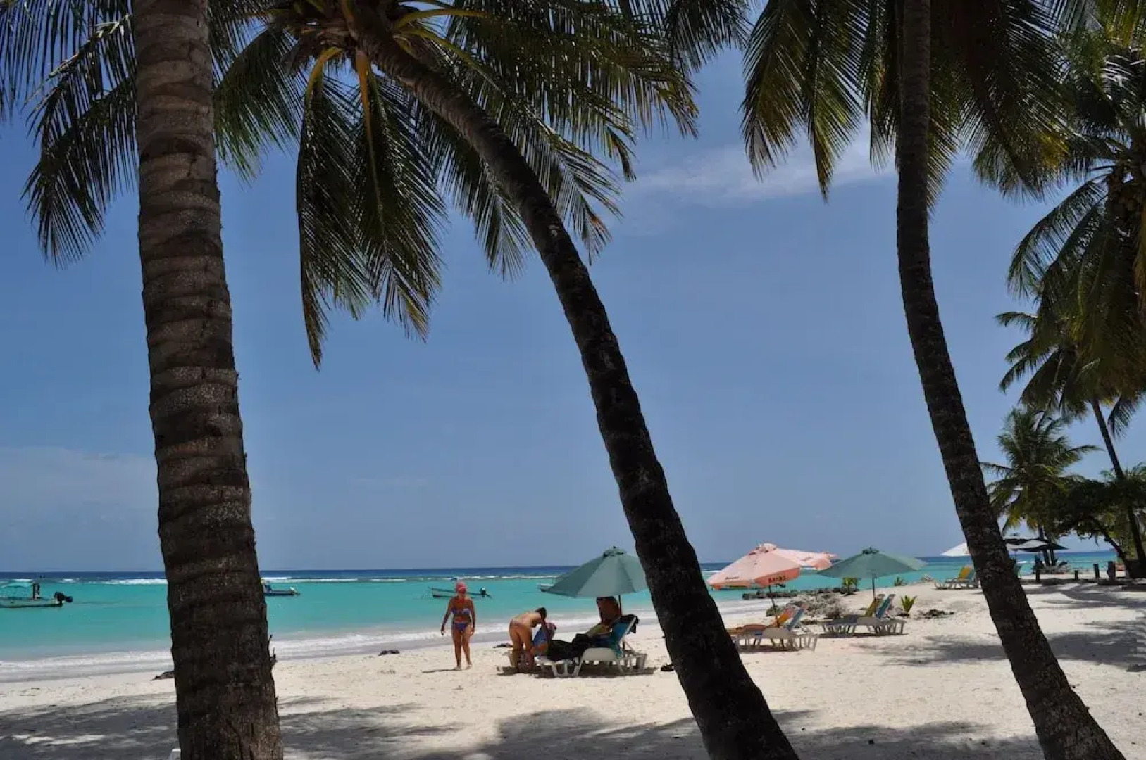 Yellow Bird Apartment