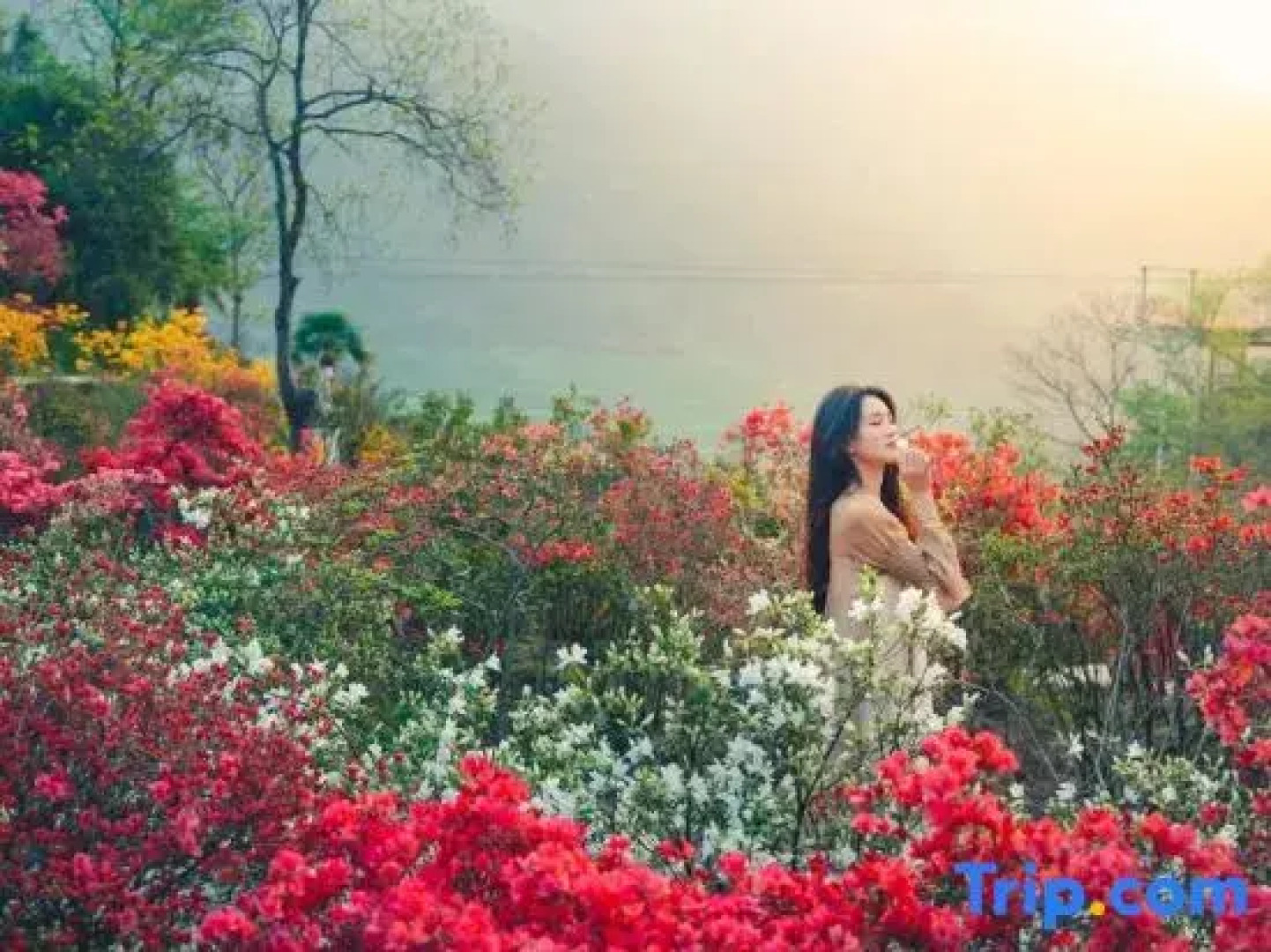 Huangling Shaiqiu Meisu (Huangling Scenic Area Branch)