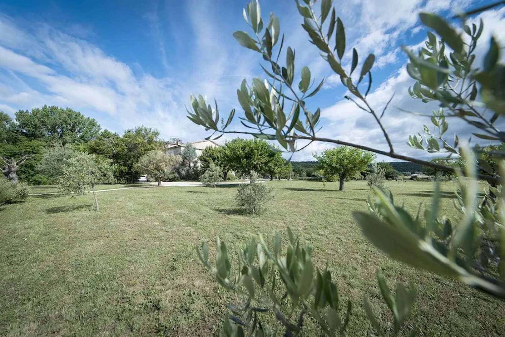 Mas des Oliviers