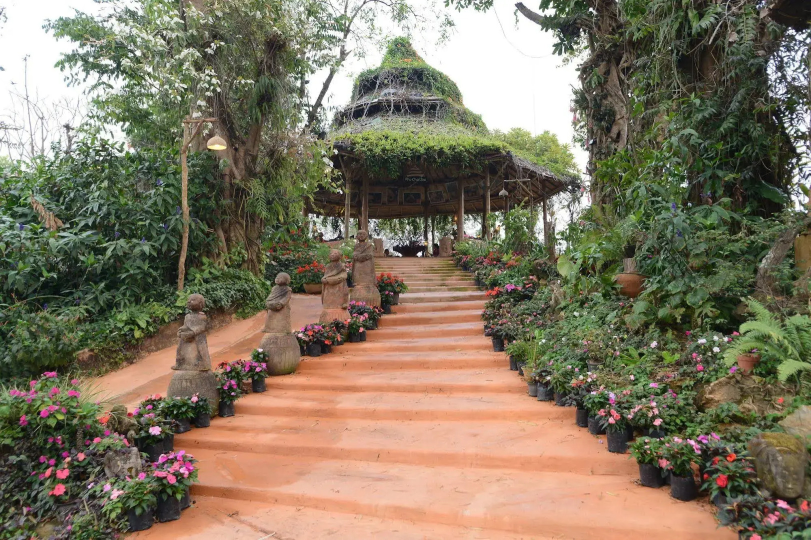 Phu Chaisai Chiang Rai Mountain Resort