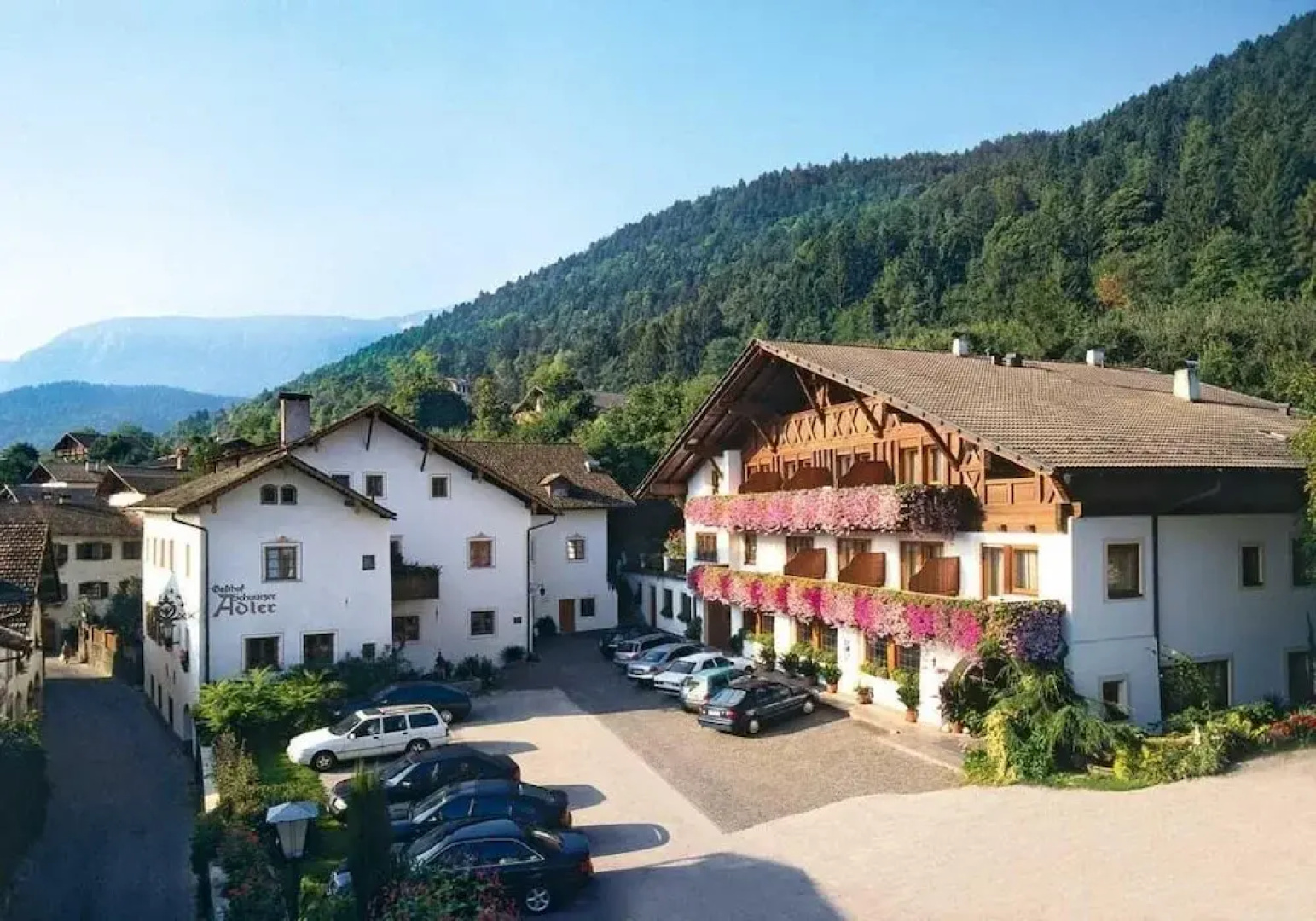 Schwarzer Adler