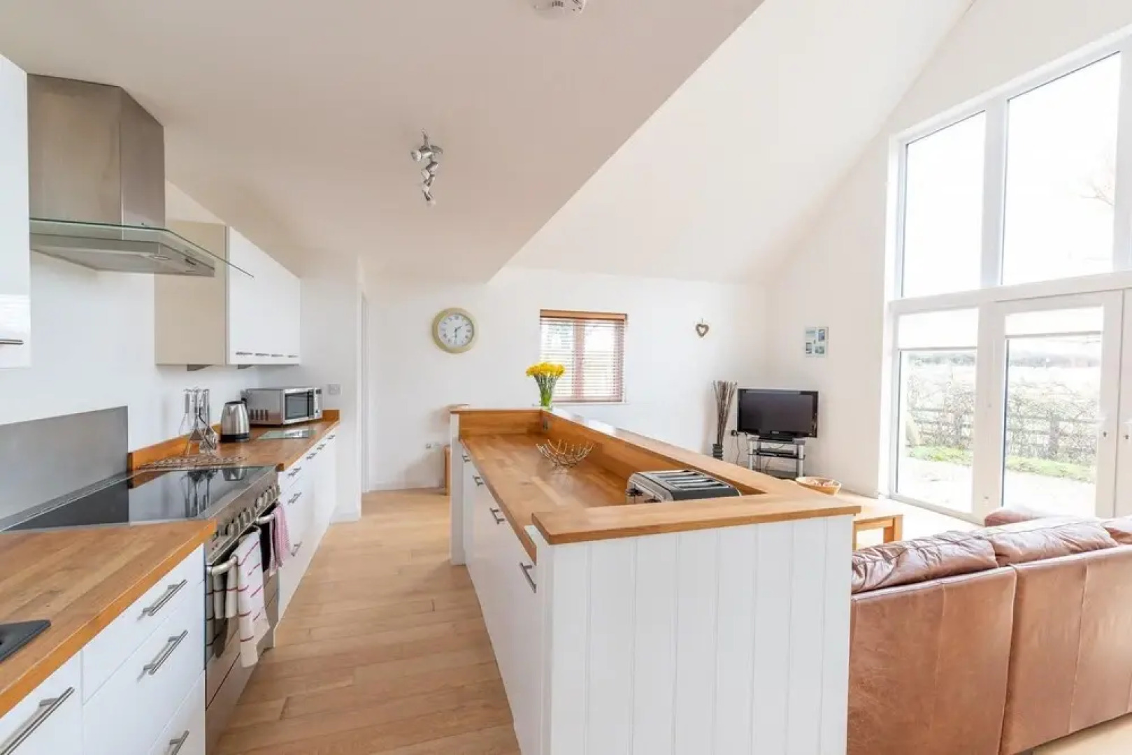 Seashells in Woolacombe