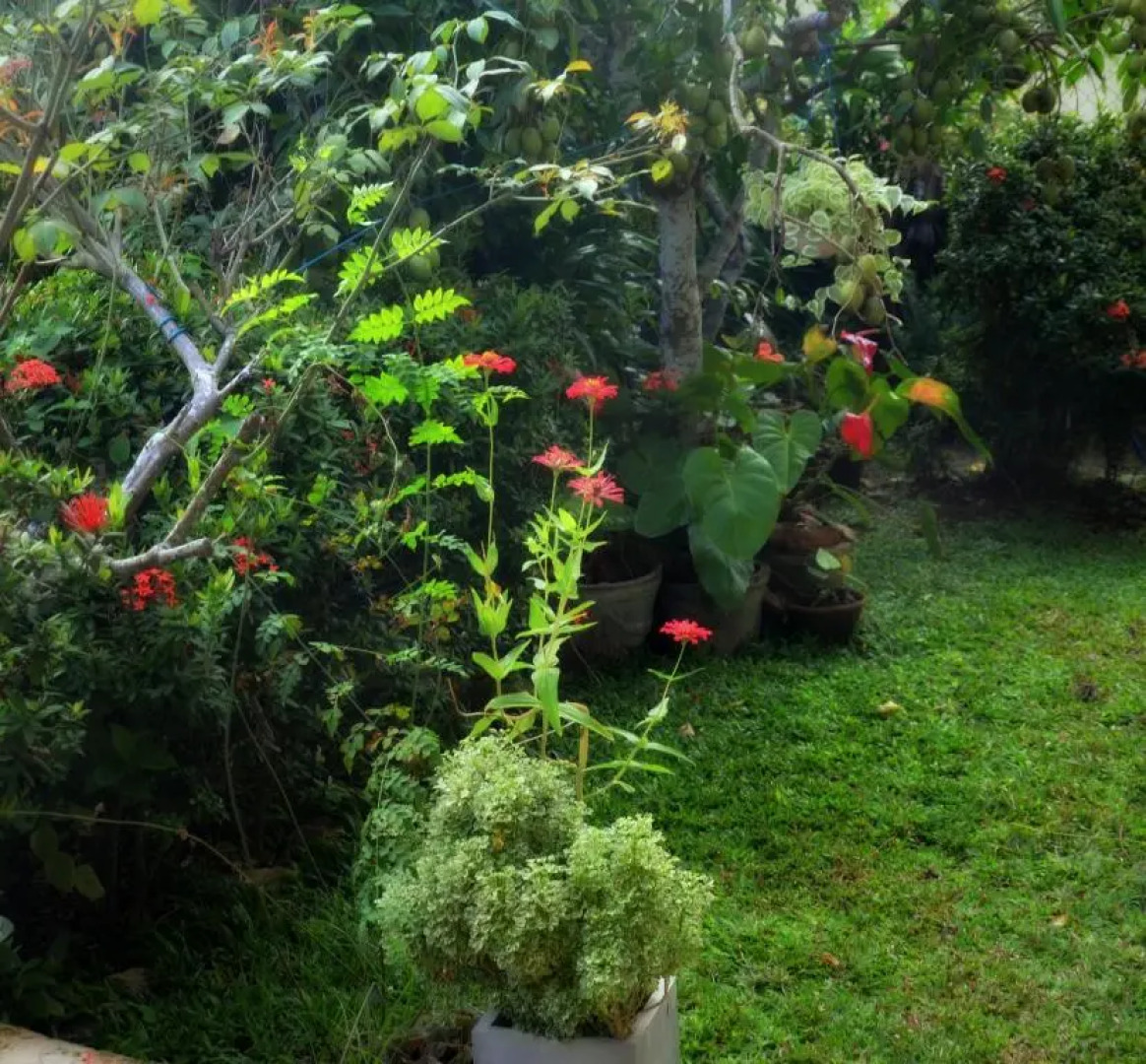 White House Apartment