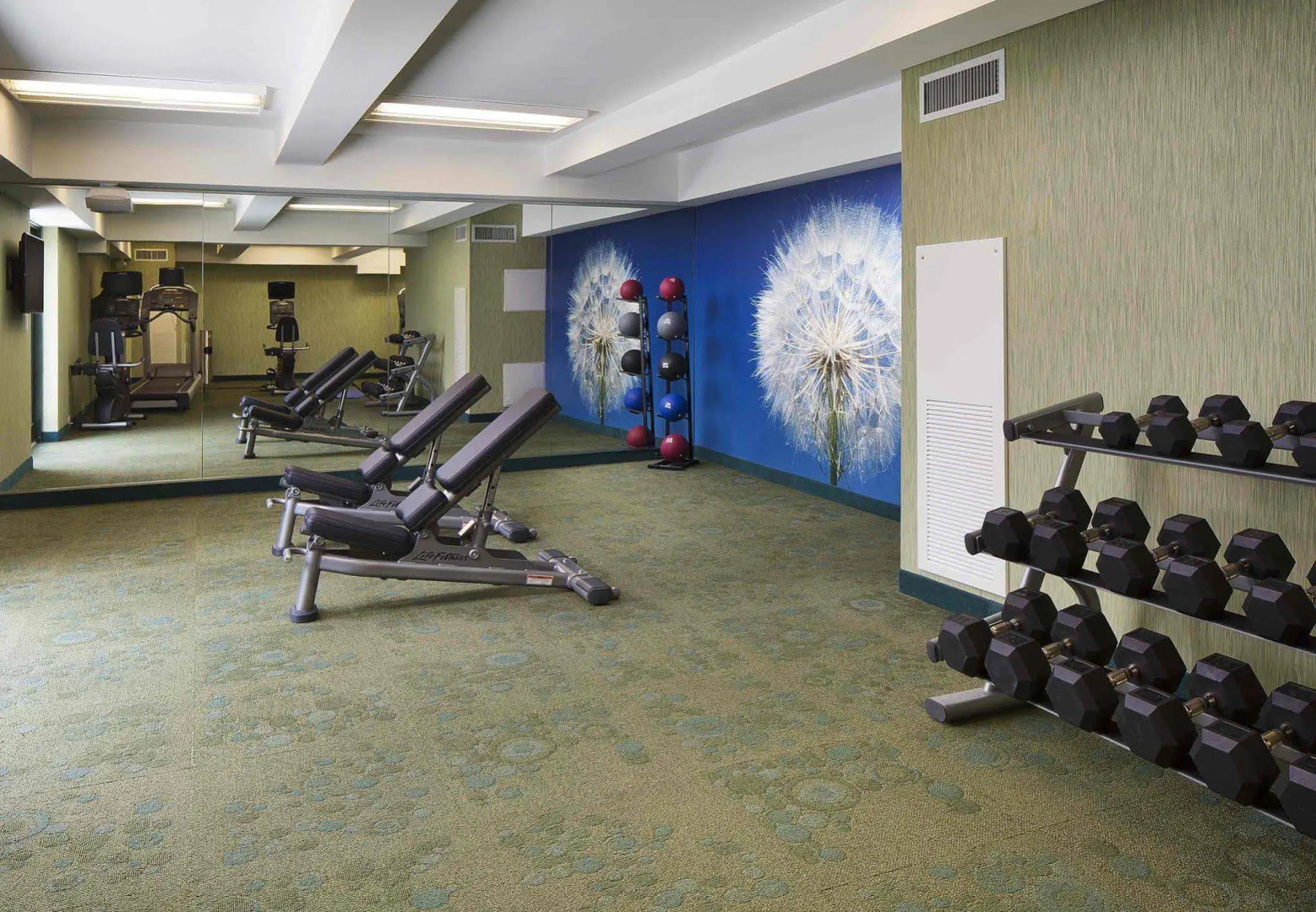 Springhill Suites by Marriott Houston Dwntn/Convention Cntr