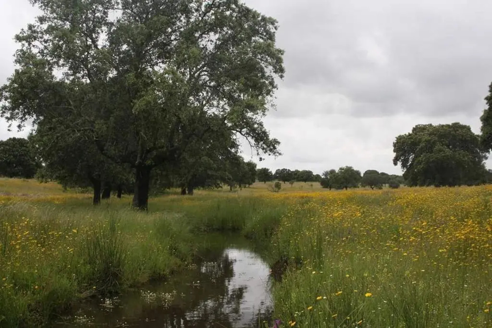 Hotel Restaurante Carvajal