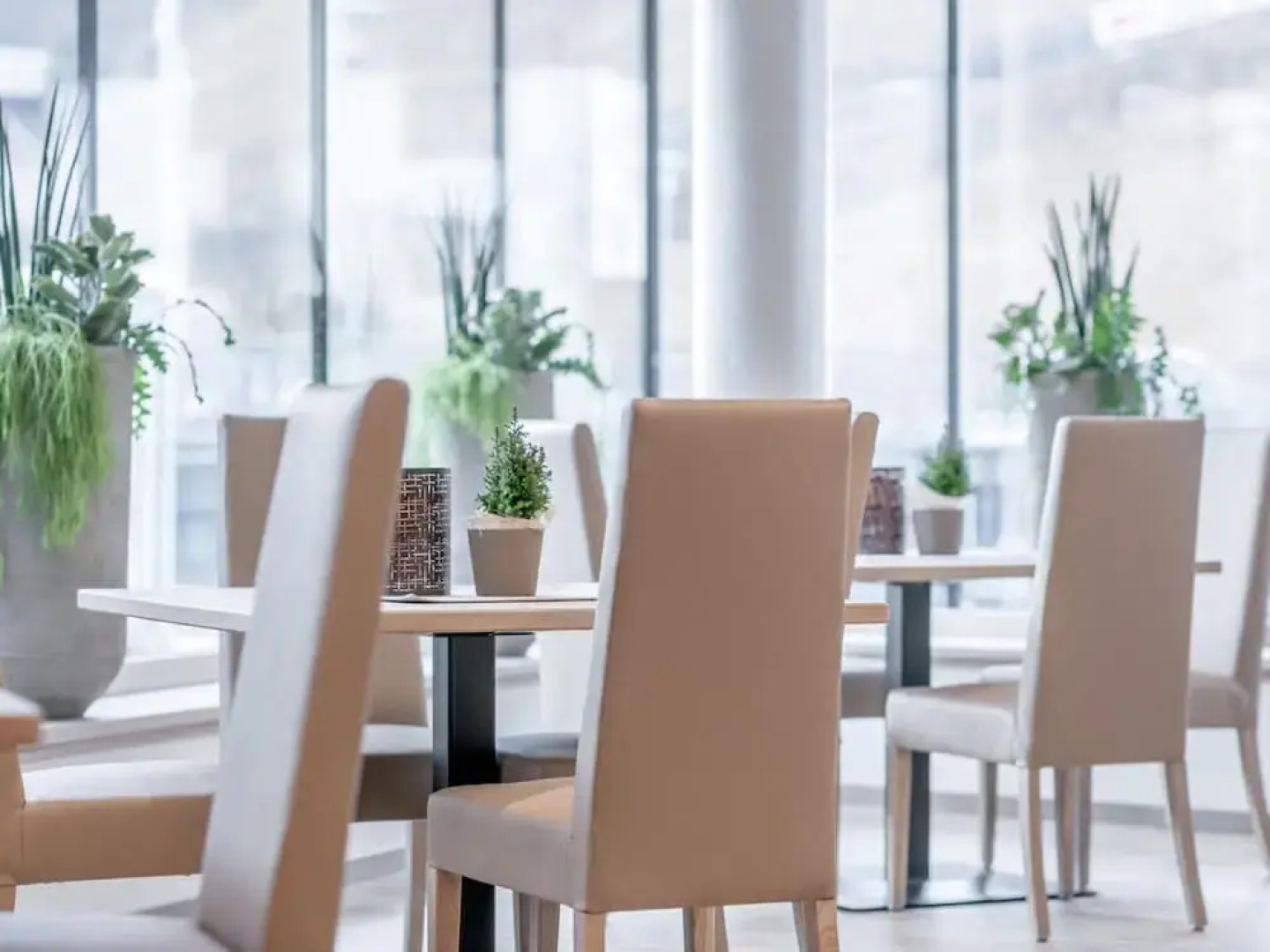 Regina’s Alp Deluxe