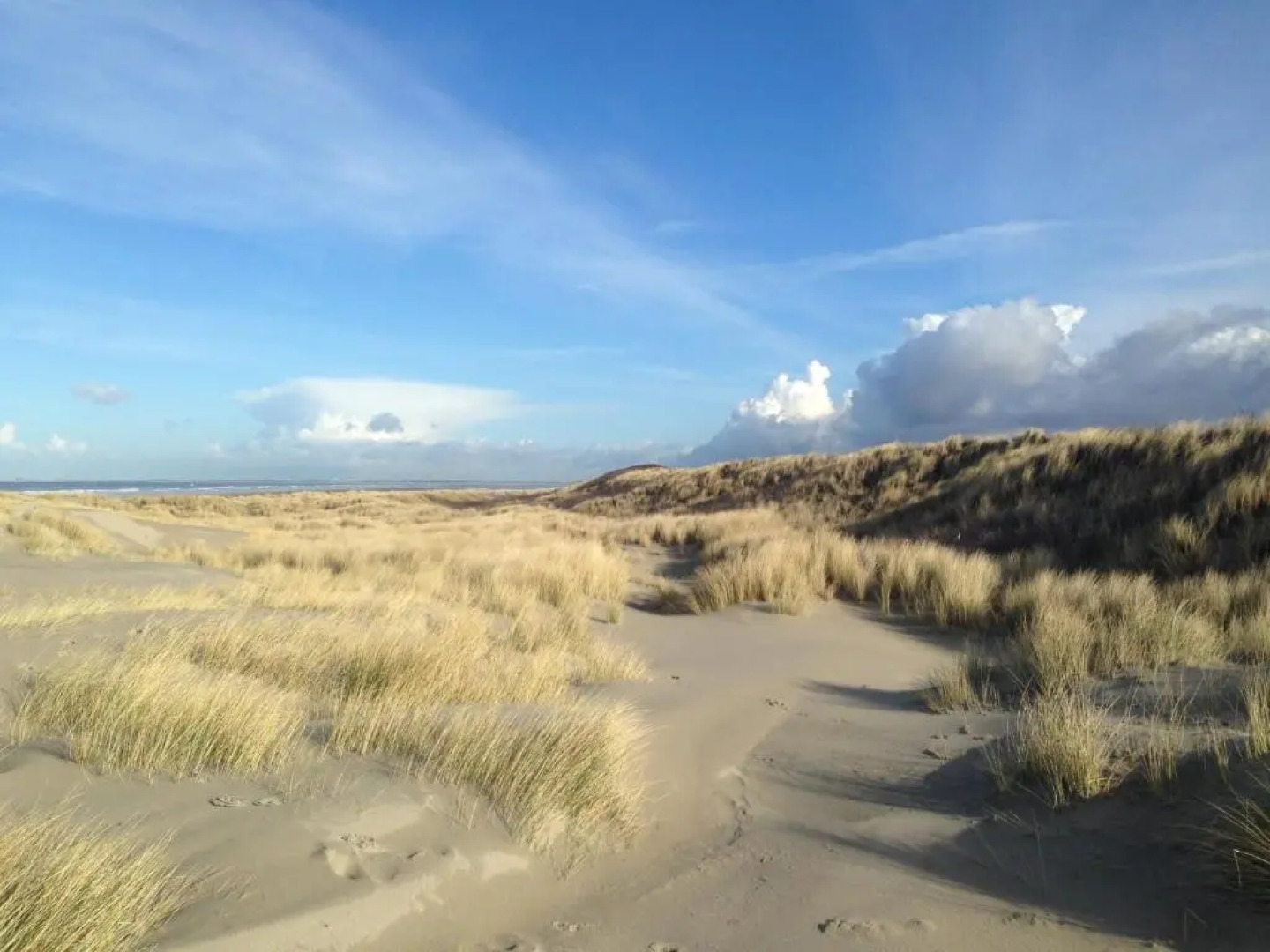 Zierikzee Appartement ZZ 41 B&B