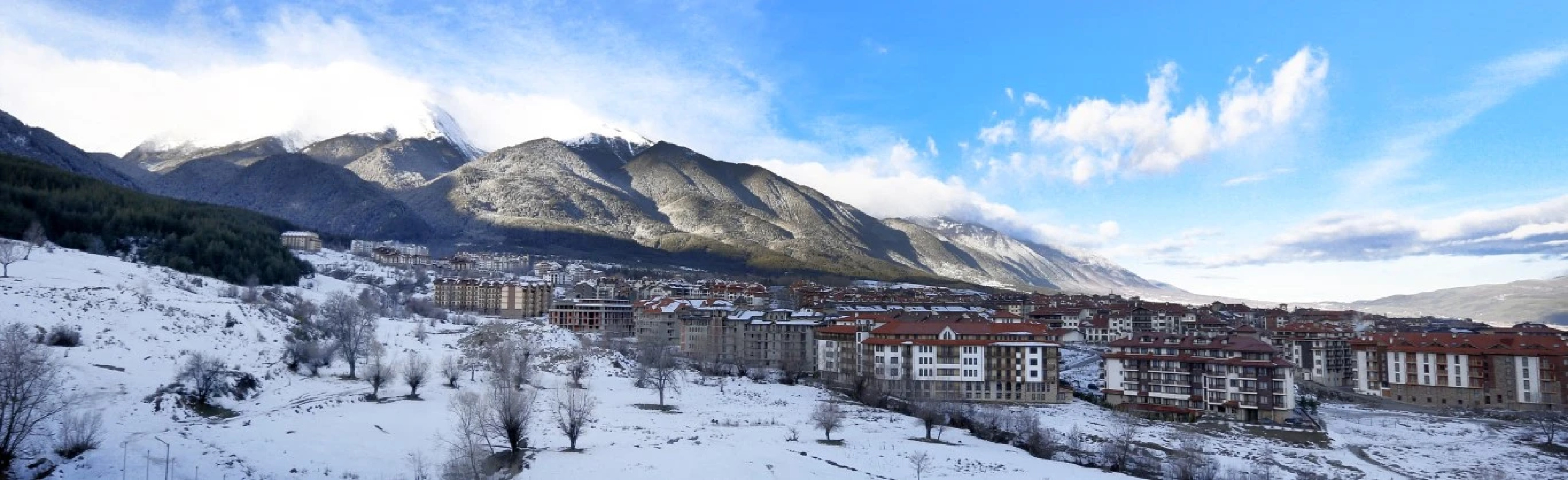 Royal Park Hotel and Apartments