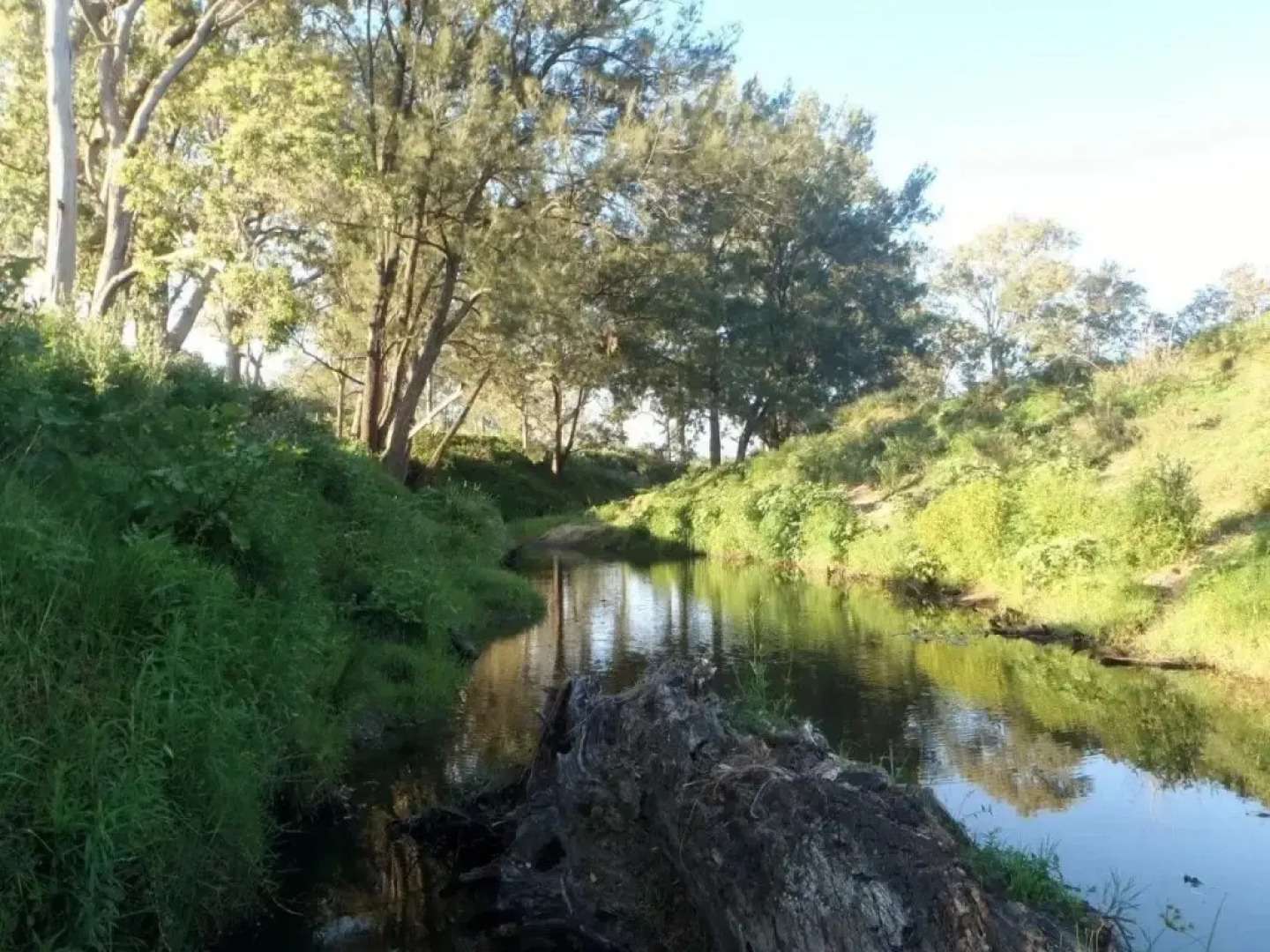 Woodenbong Bed and Breakfast