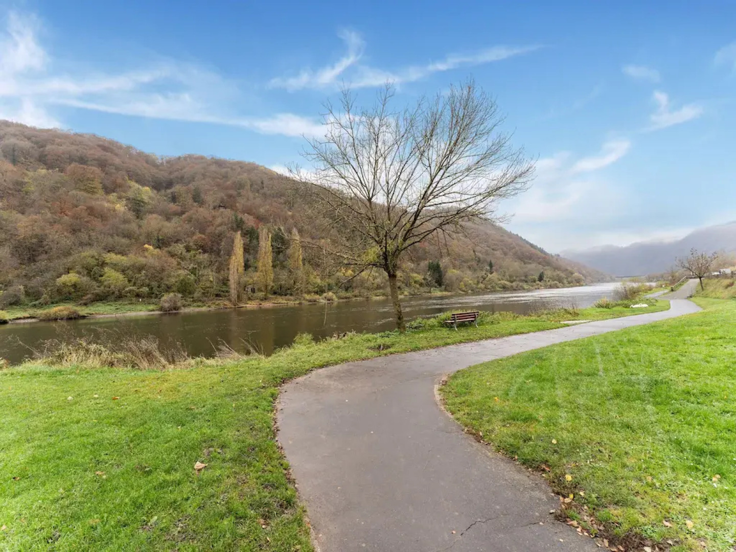 Moselanmut in Ediger-eller