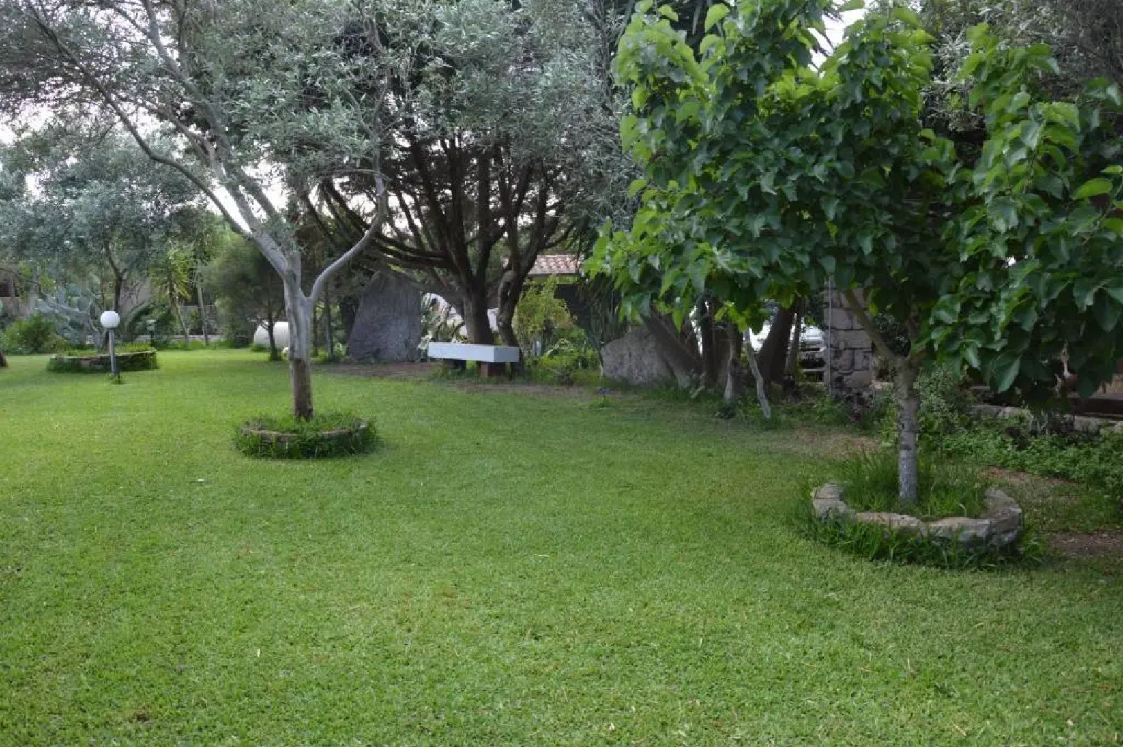 Giardino degli Ulivi