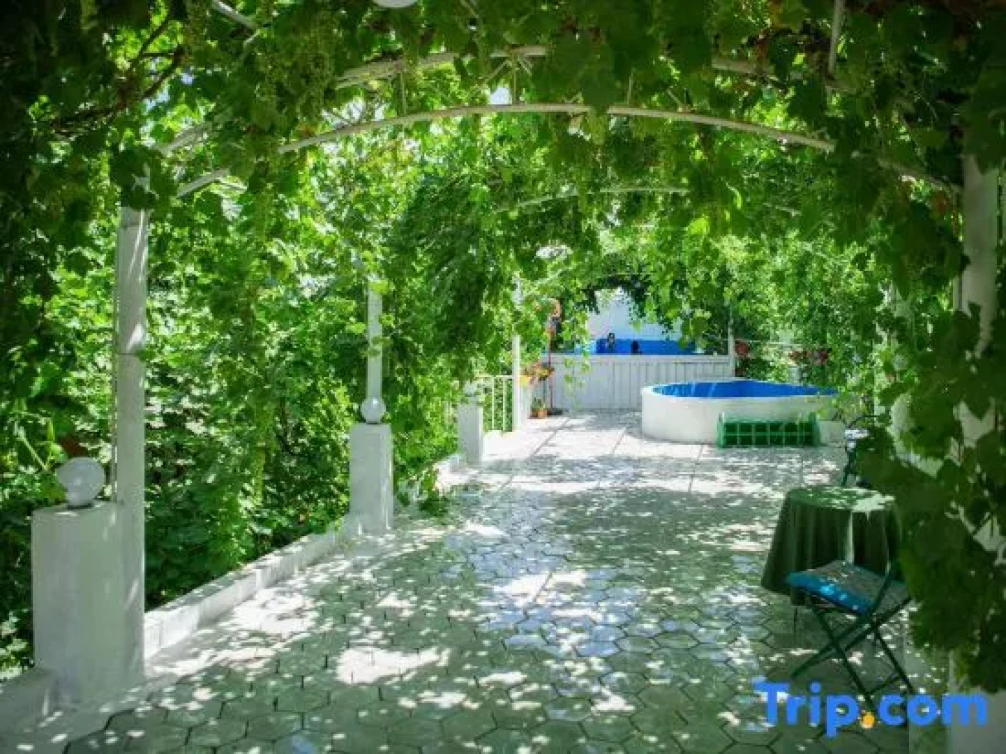 Turpan Silk Road Lodges - The Vines