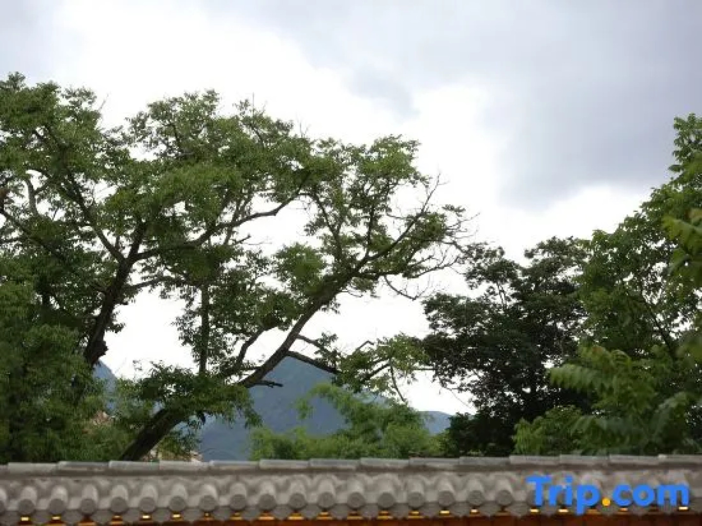 Puzhehei Yidu Homestay (Hehua Daguan Garden)