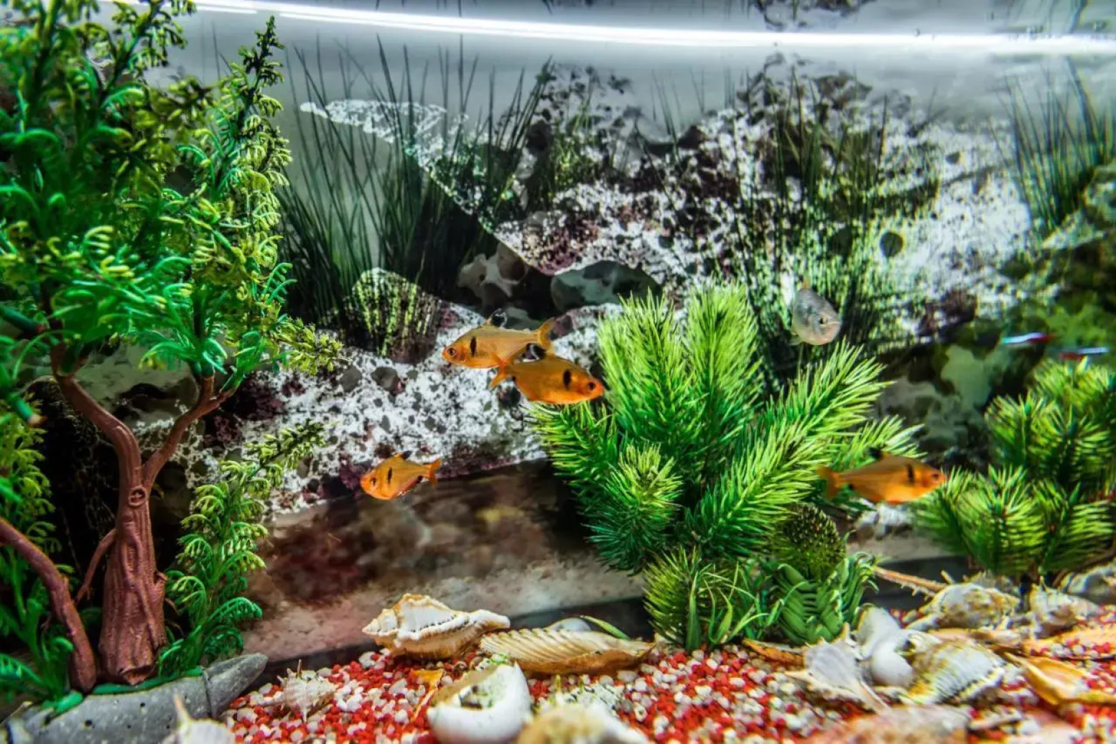 Le Dimore del Garibaldi