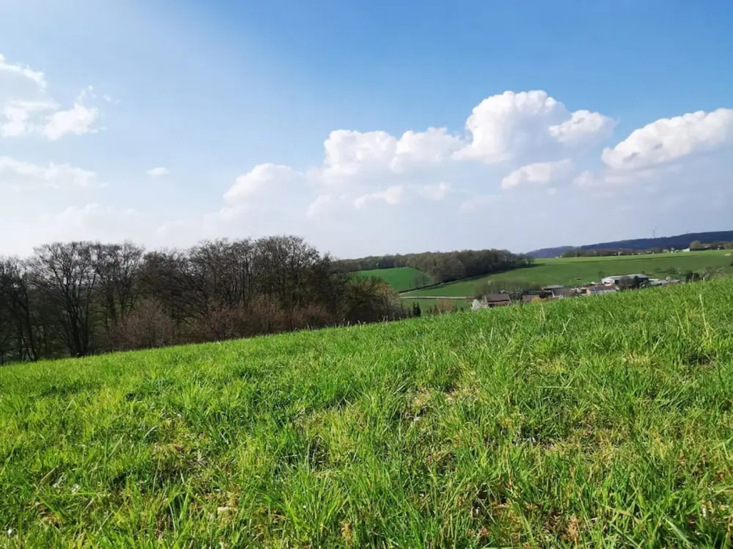 Simplistic Apartment in Suhl near Forest