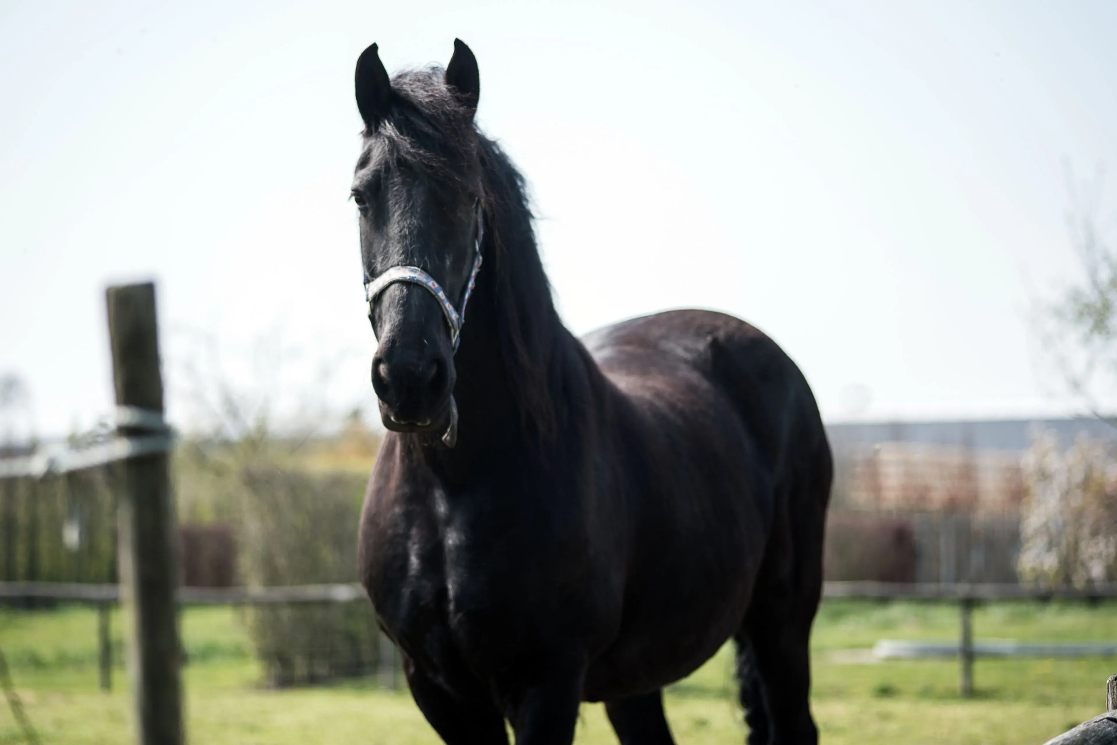 Fruitpark Hotel & Spa