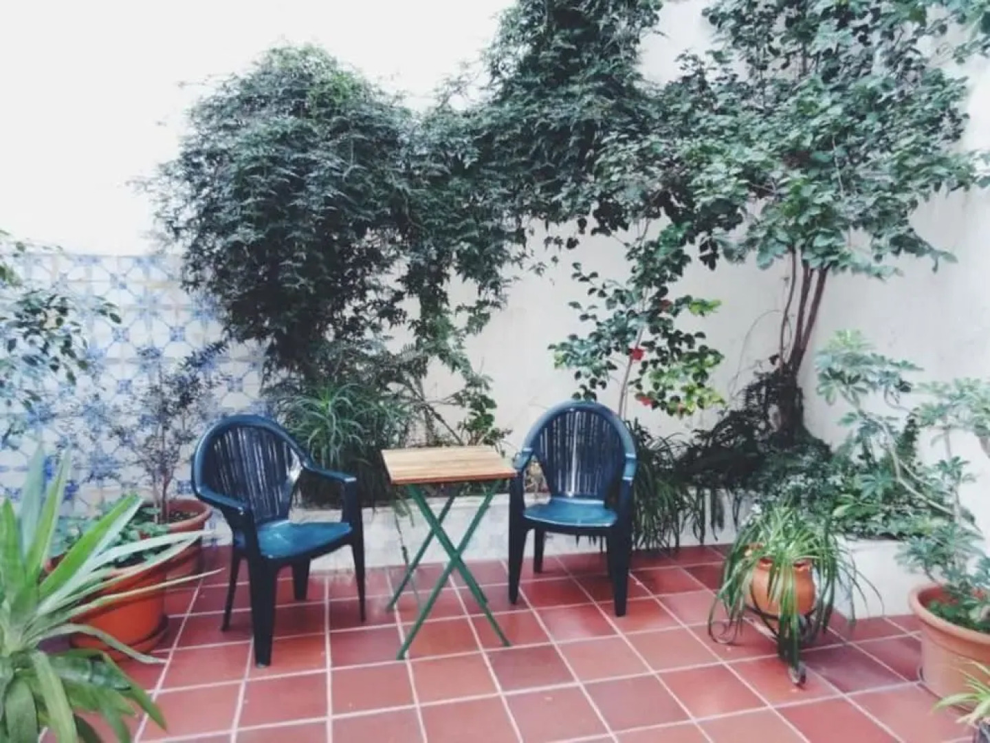 Mansão Alto Alentejo