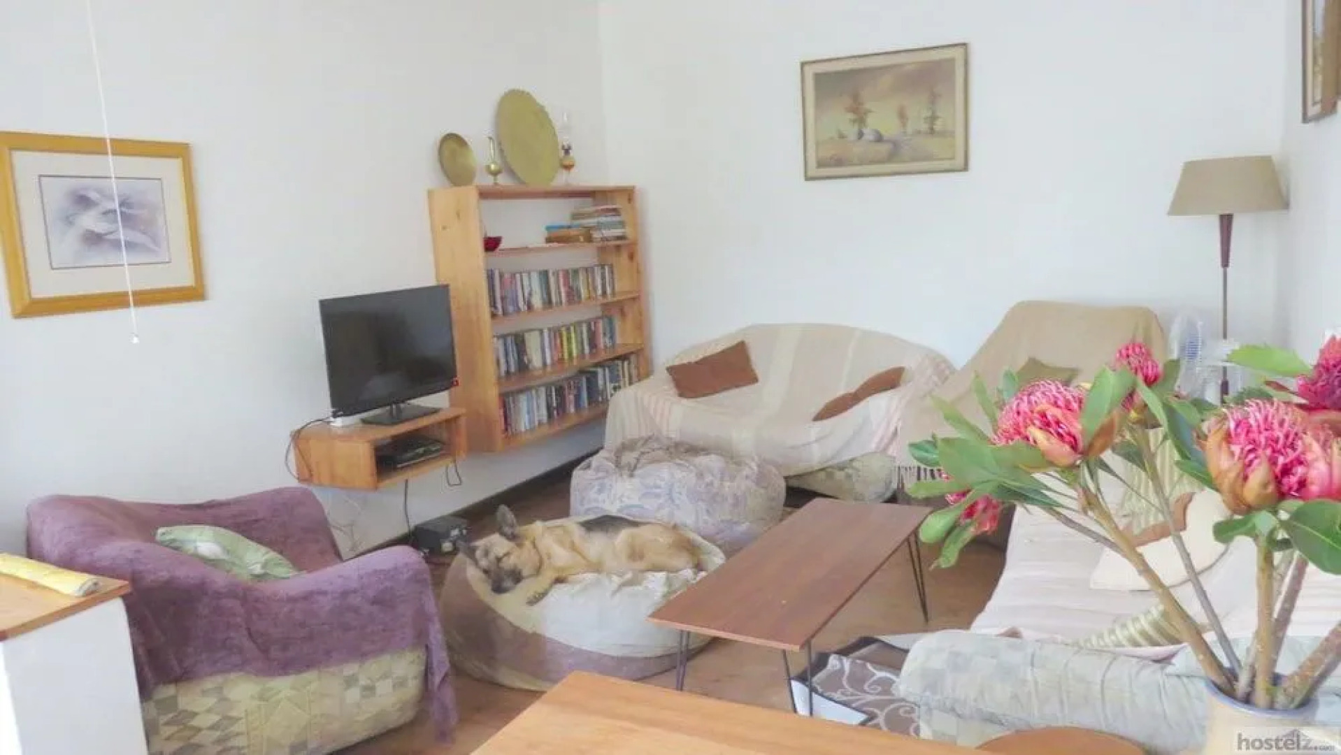 Ann Bruce Backpackers