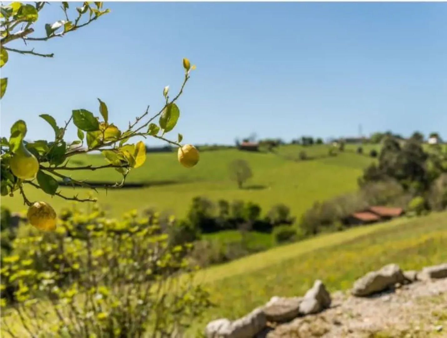 Apartment in Ampuero - 100805 by MO Rentals