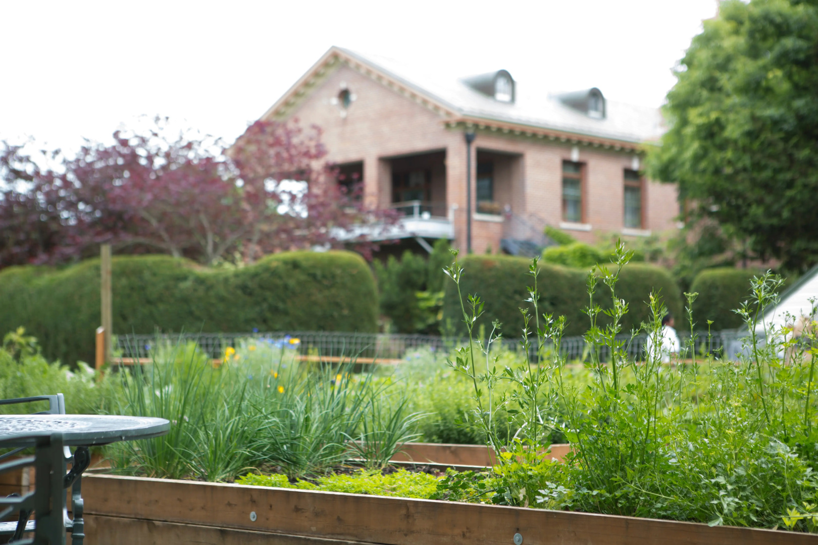 McMenamins Grand Lodge