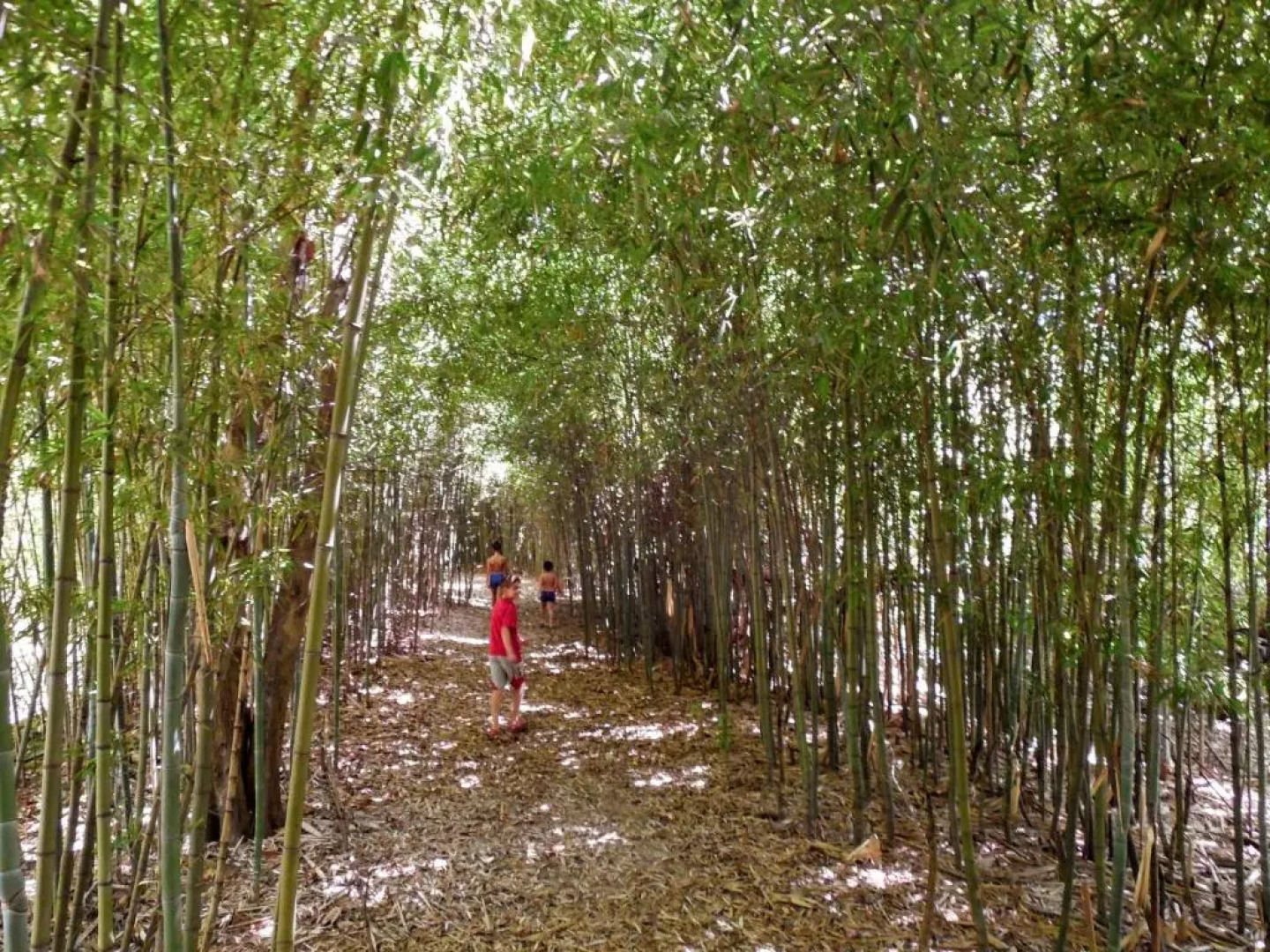 Cabaña Sol de Medianoche Delta Tigre