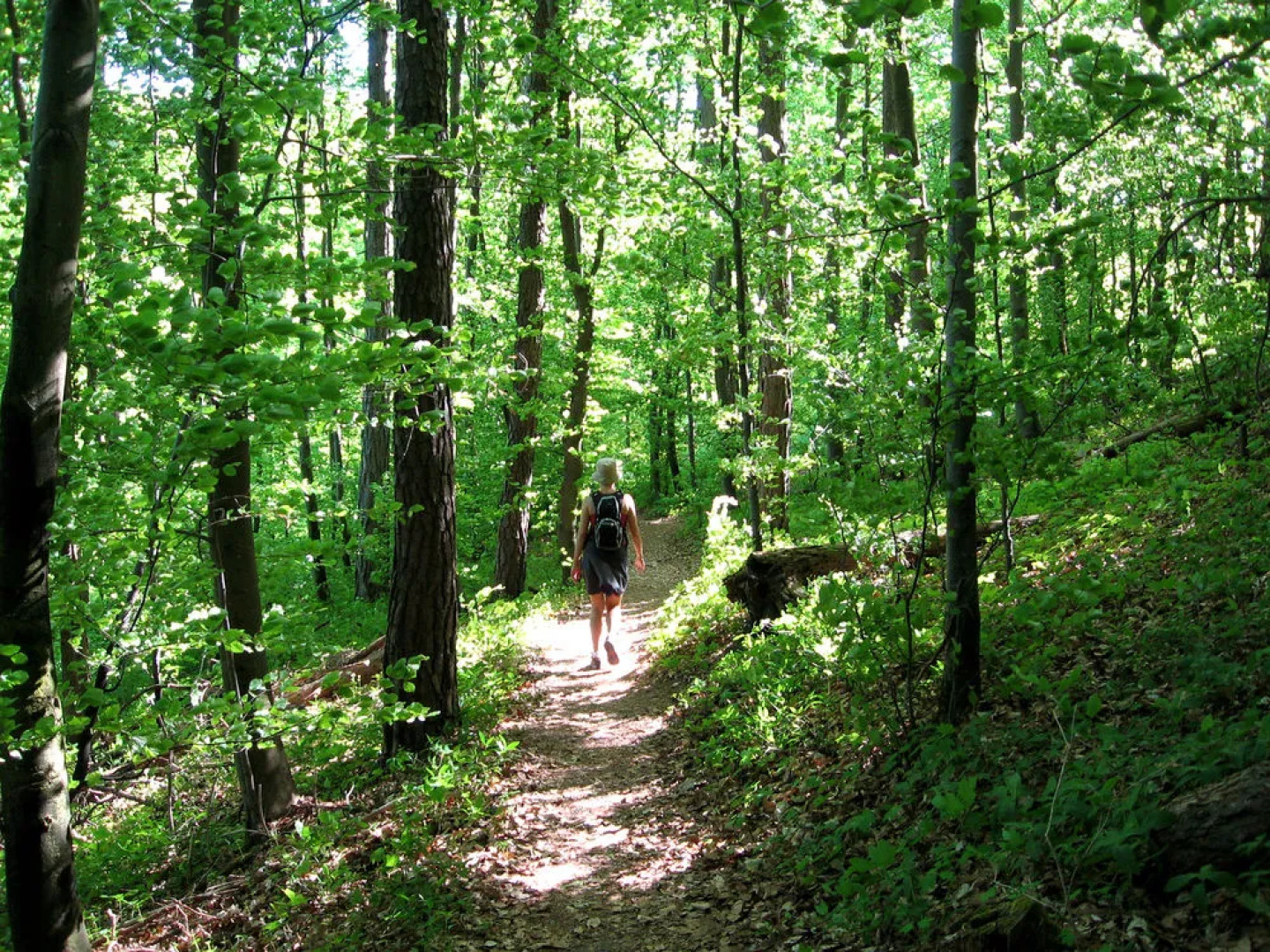 AKZENT Hotel Höhenblick