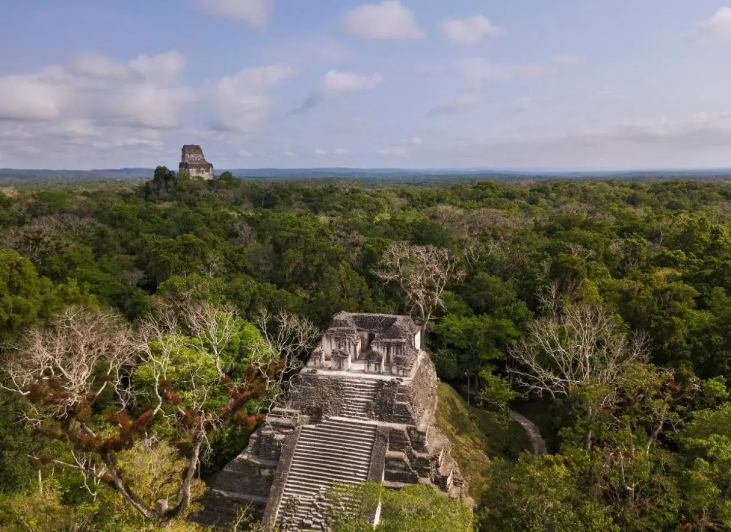 La Lancha by Francis Ford Coppola