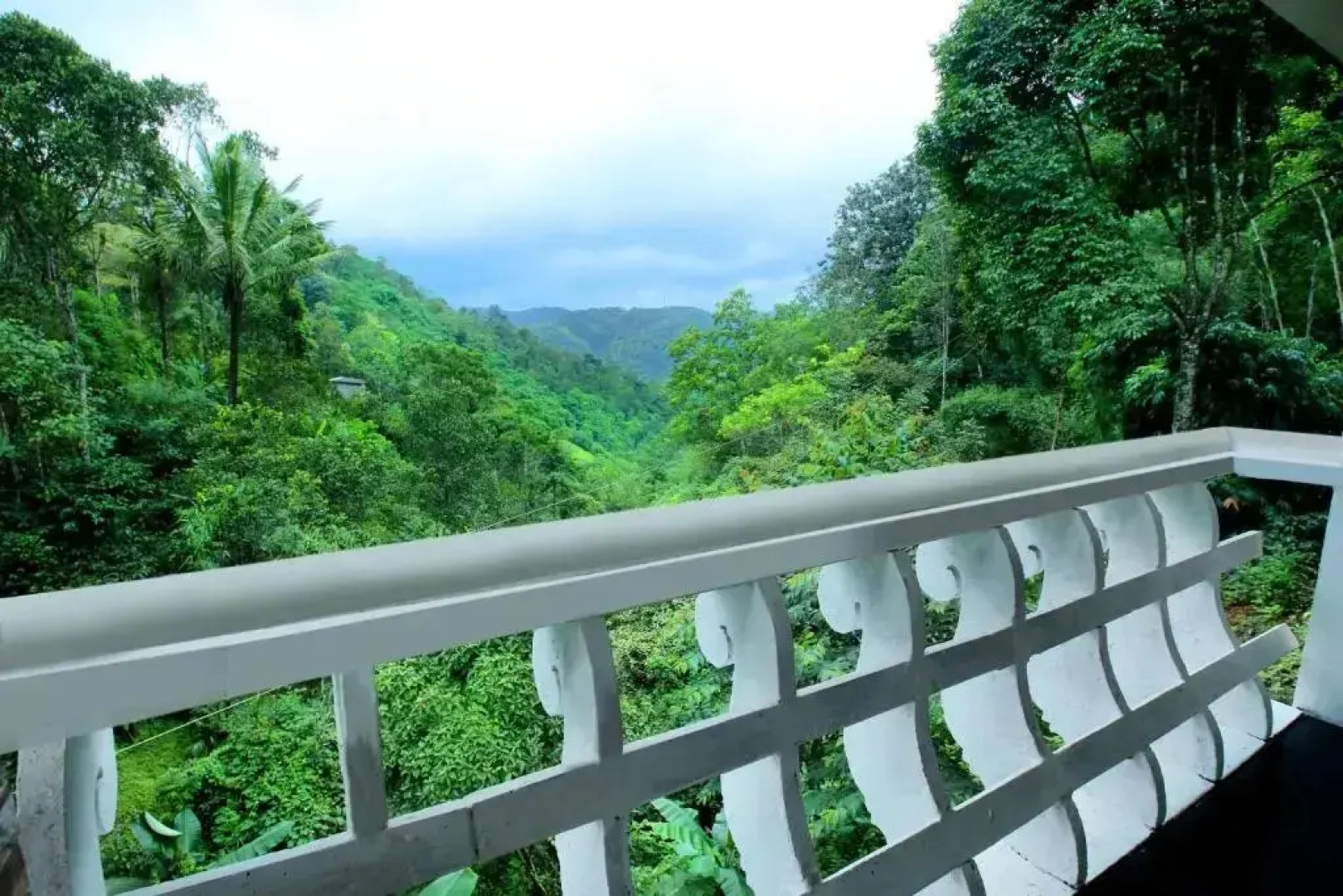 Spring & Valley View