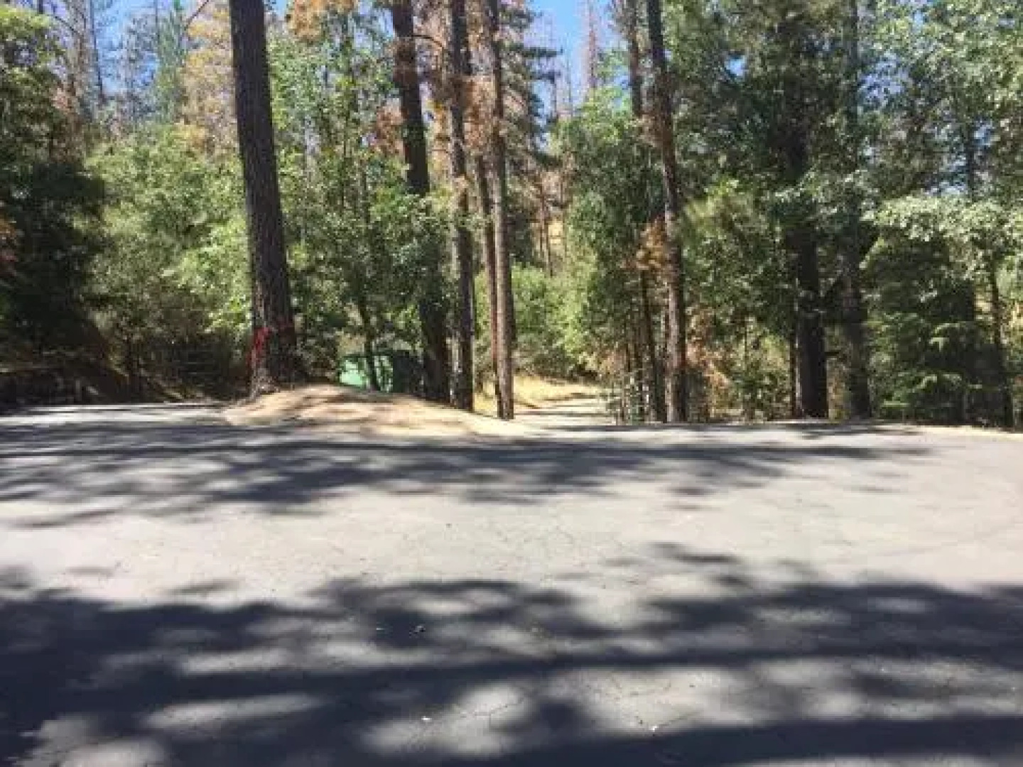 Yosemite National Park Bass Lake