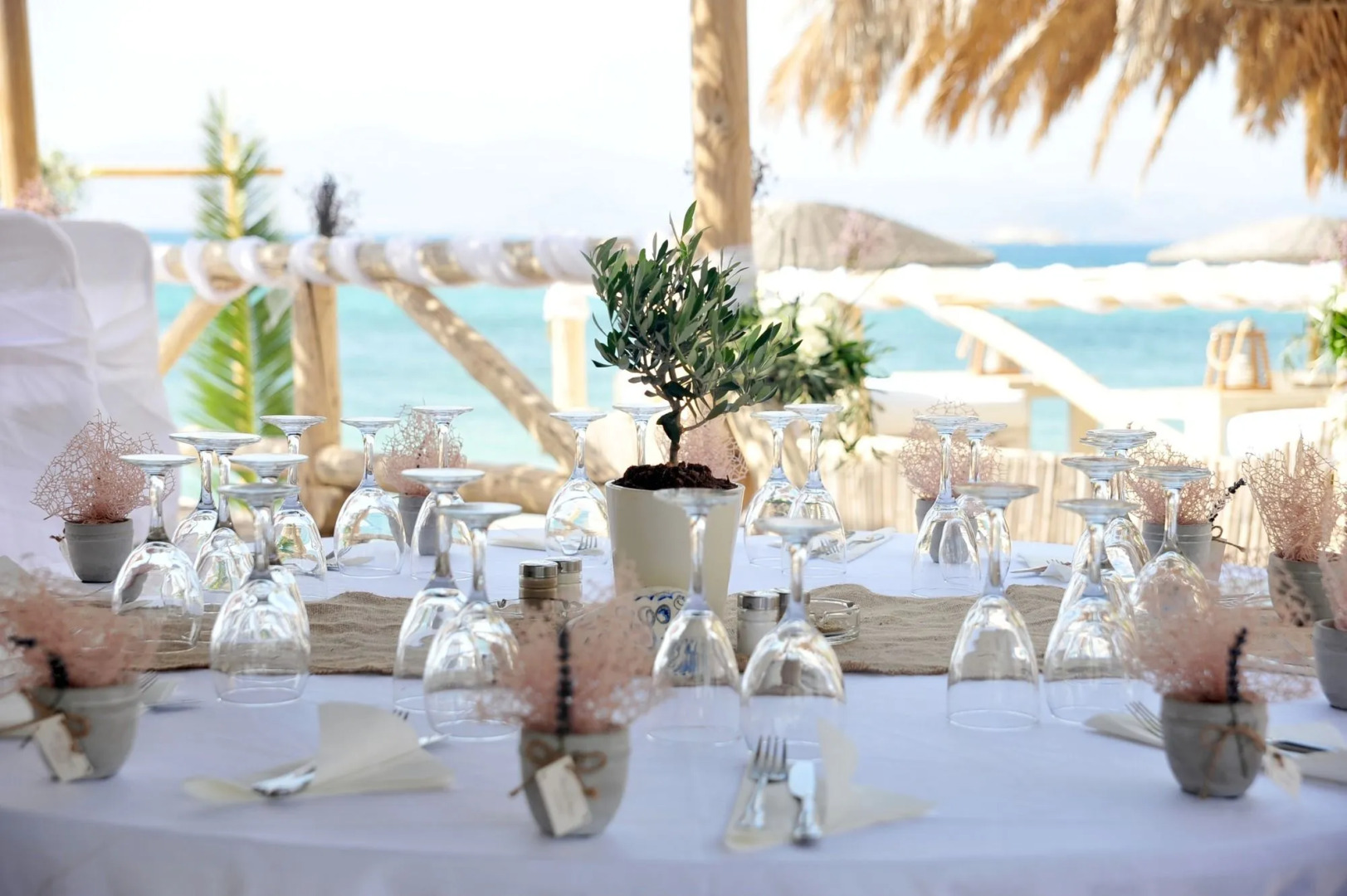 Medusa Resort & Suites