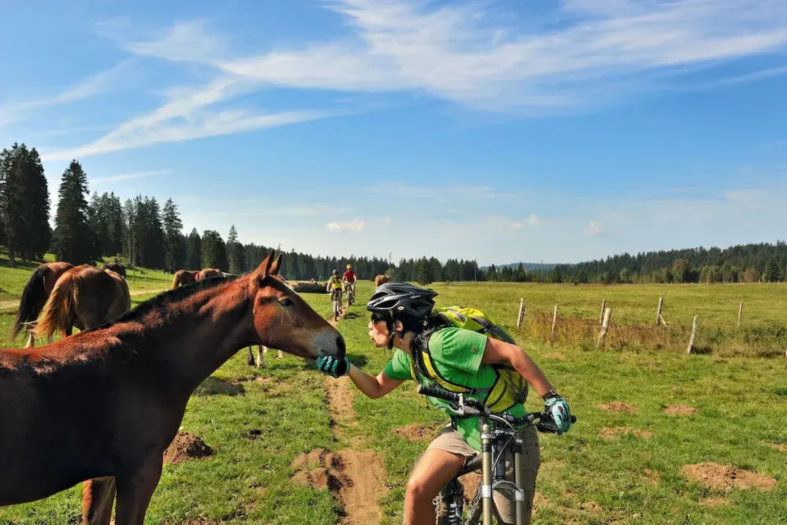 Jura Sport & Spa Resort