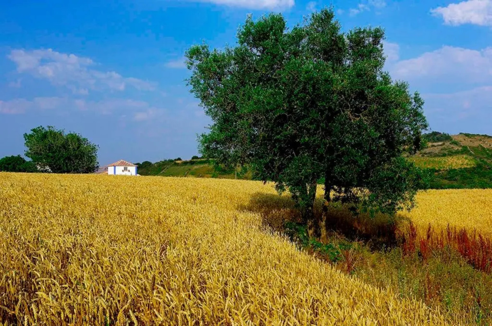 Aldeia da Mata Pequena