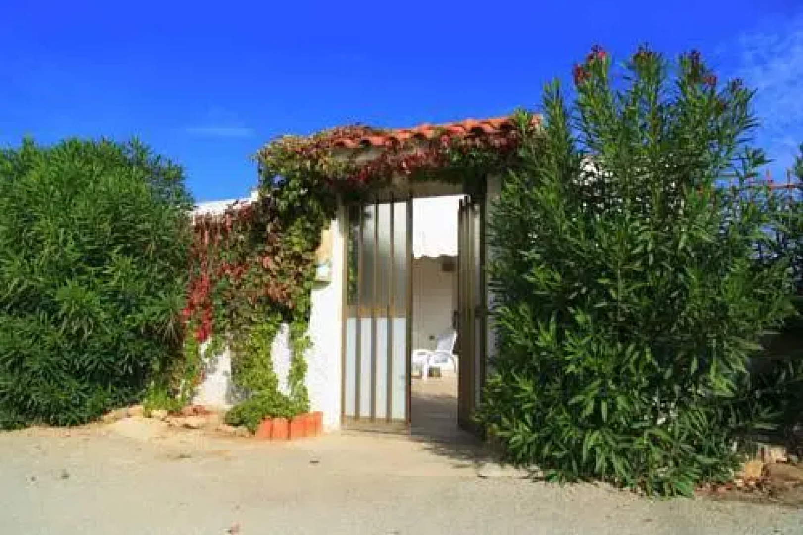 The House of Your Dreams