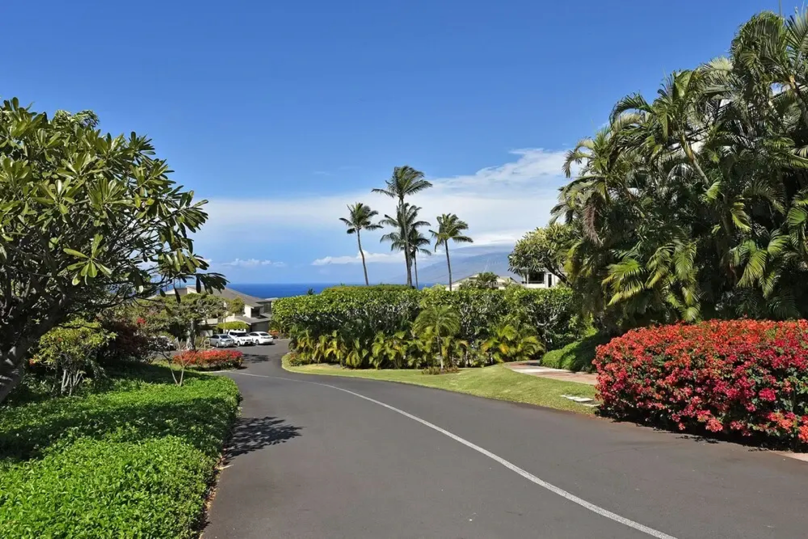Wailea Ekolu 1604 In Kihei