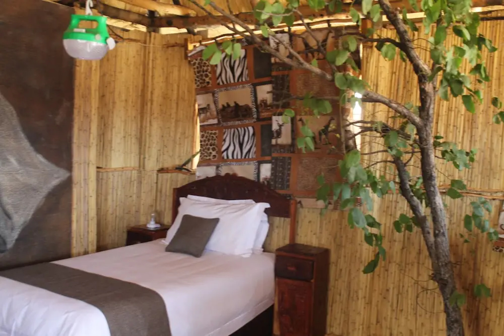 Dzibanana Lodge & Camping