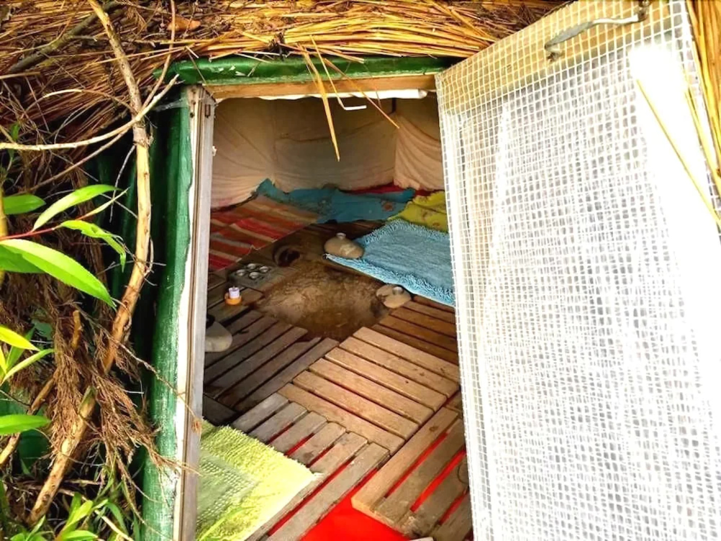 Insolites du Bonheur de Vivre