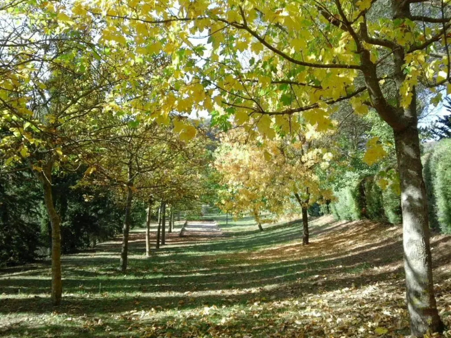 Agriturismo VILLA MOZART nel verde