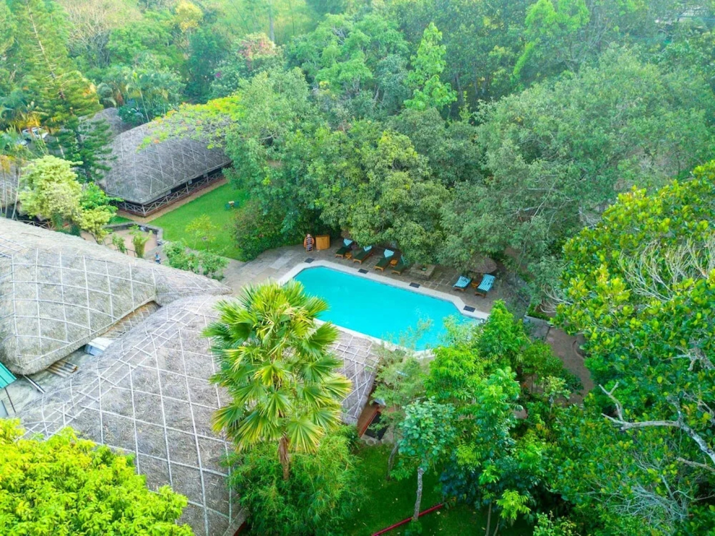 Spice Village-CGH Earth