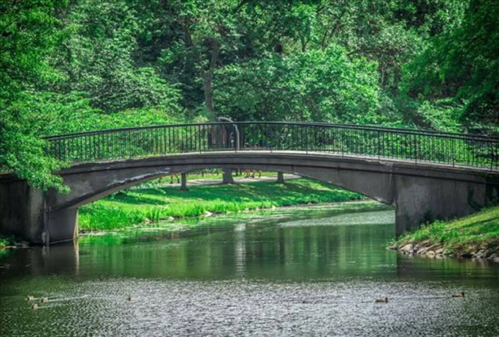 Global Luxury Suites at the Commonwealth