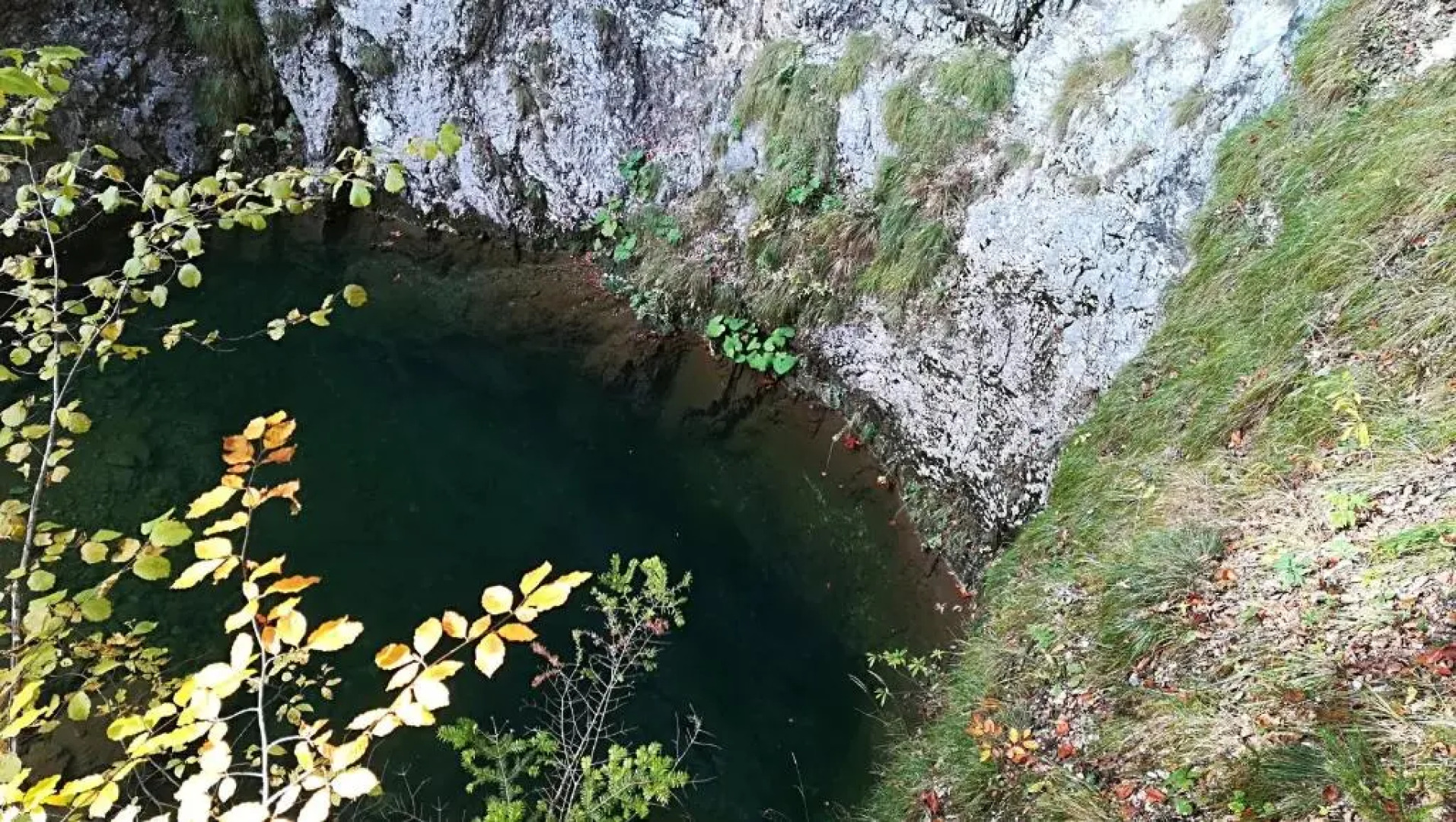 Pensiunea Izbucul Tauz