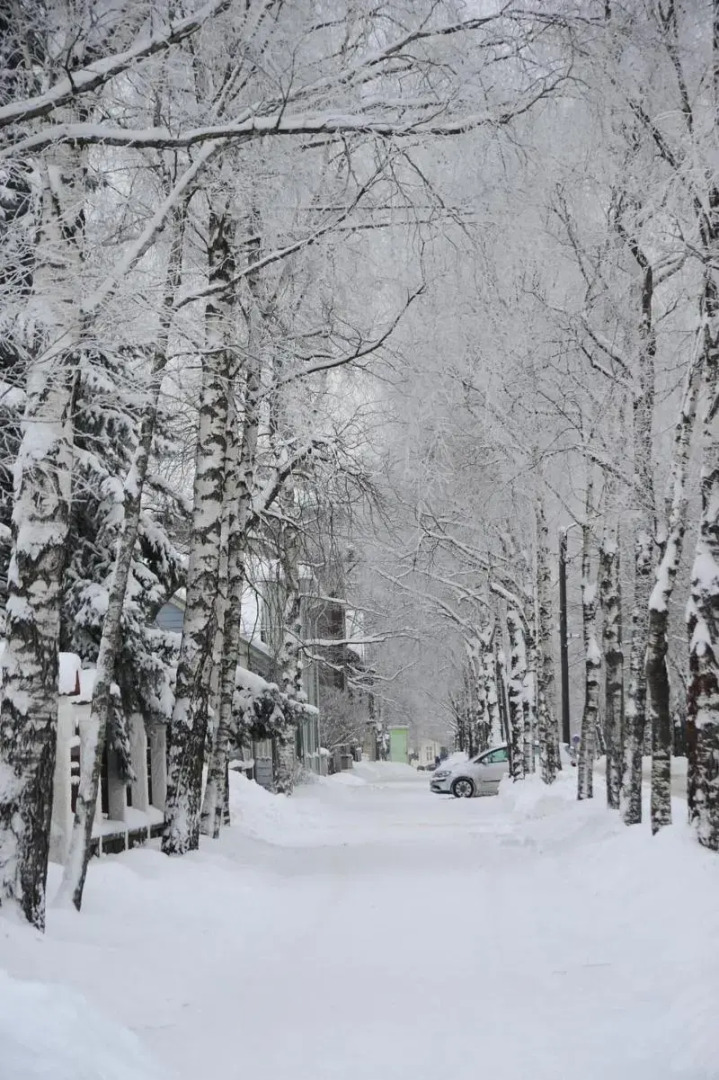 Отель «Вилла Вессет»