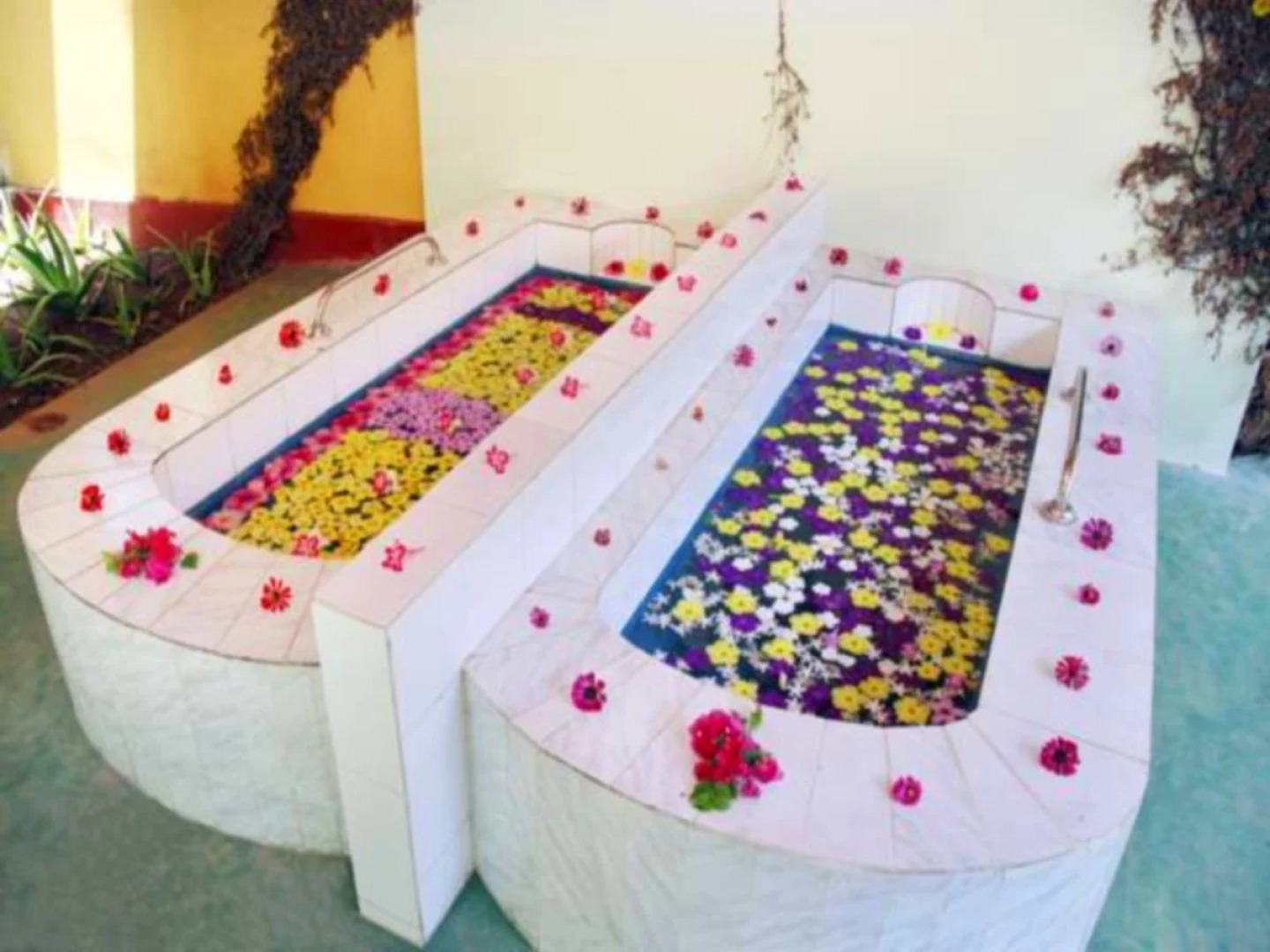 Nature Lanka Ayurveda Resort