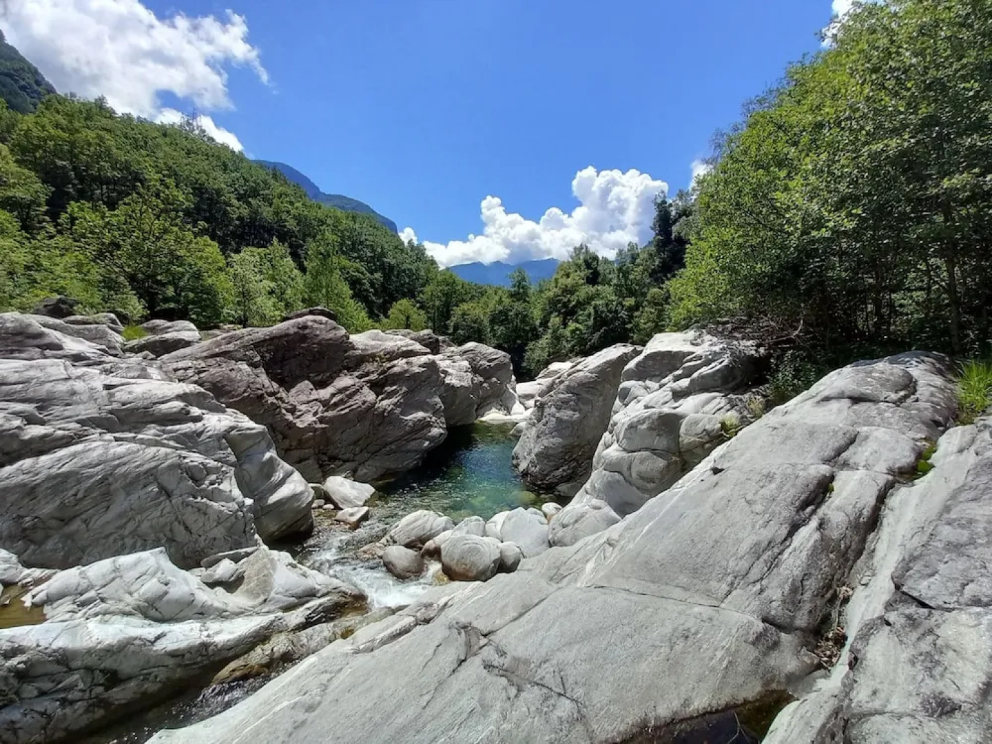 Room in Apartment - Casa Coerente Cavergno Single Room 3