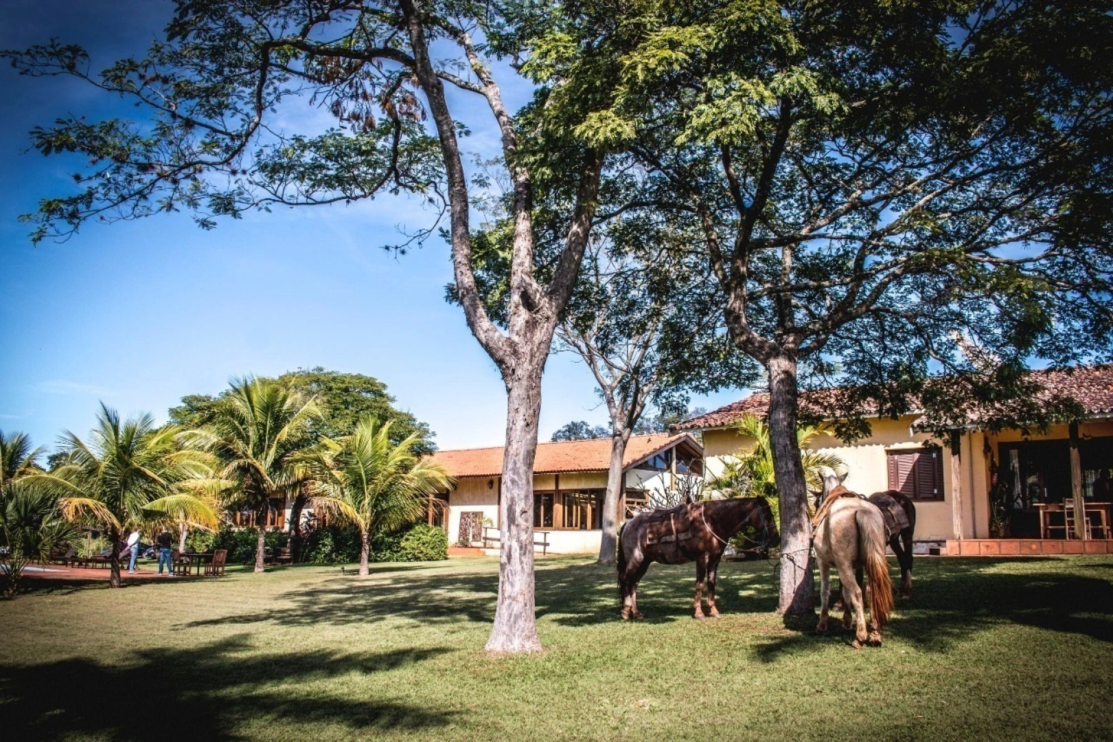 Fazenda Santa Teresa Hotel & SPA