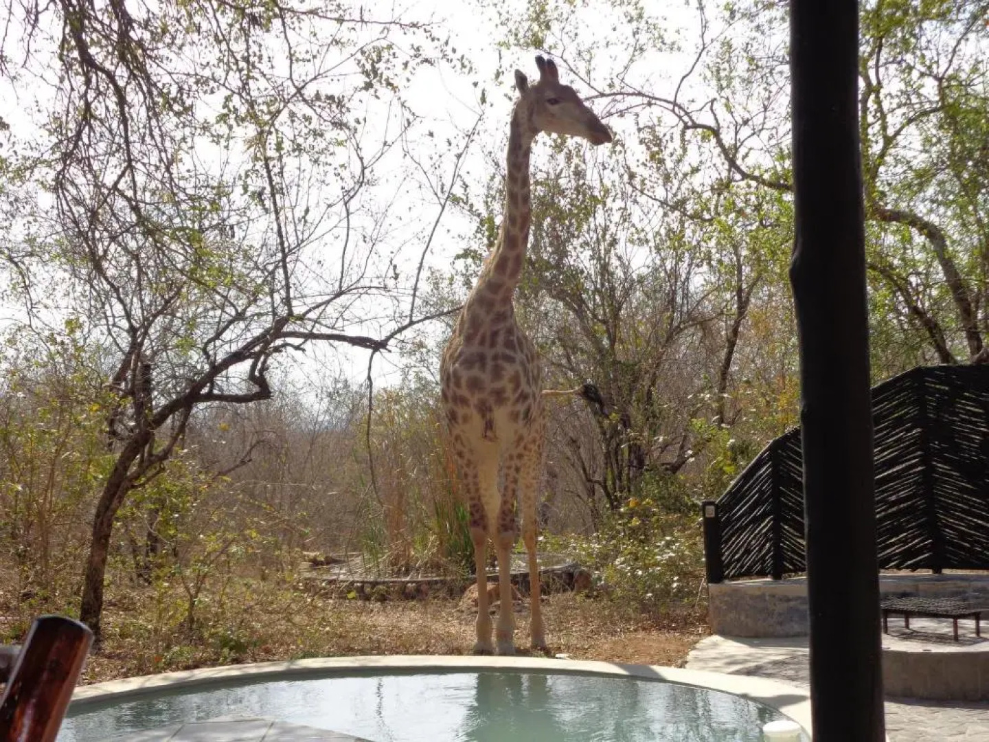 Kruger River Villas - Mtombo