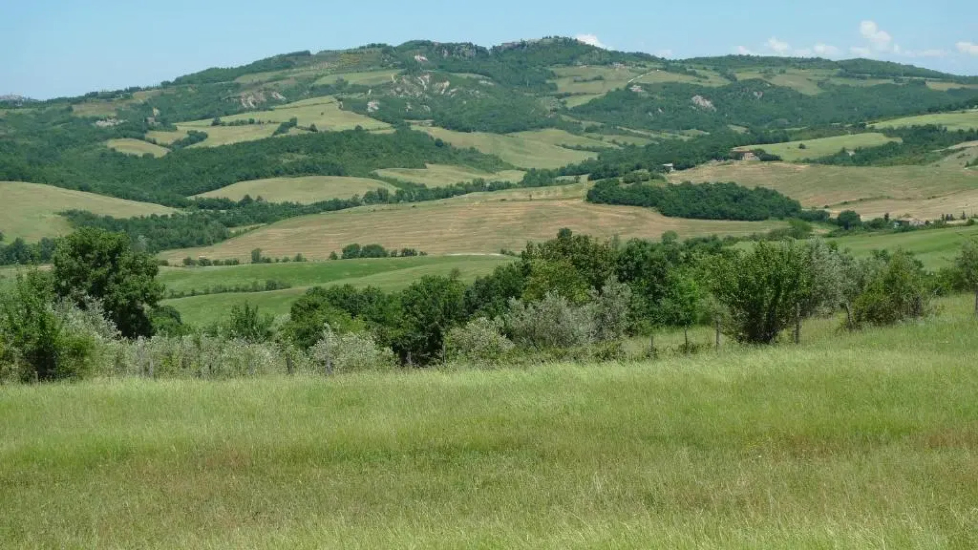 Agriturismo San Pierino
