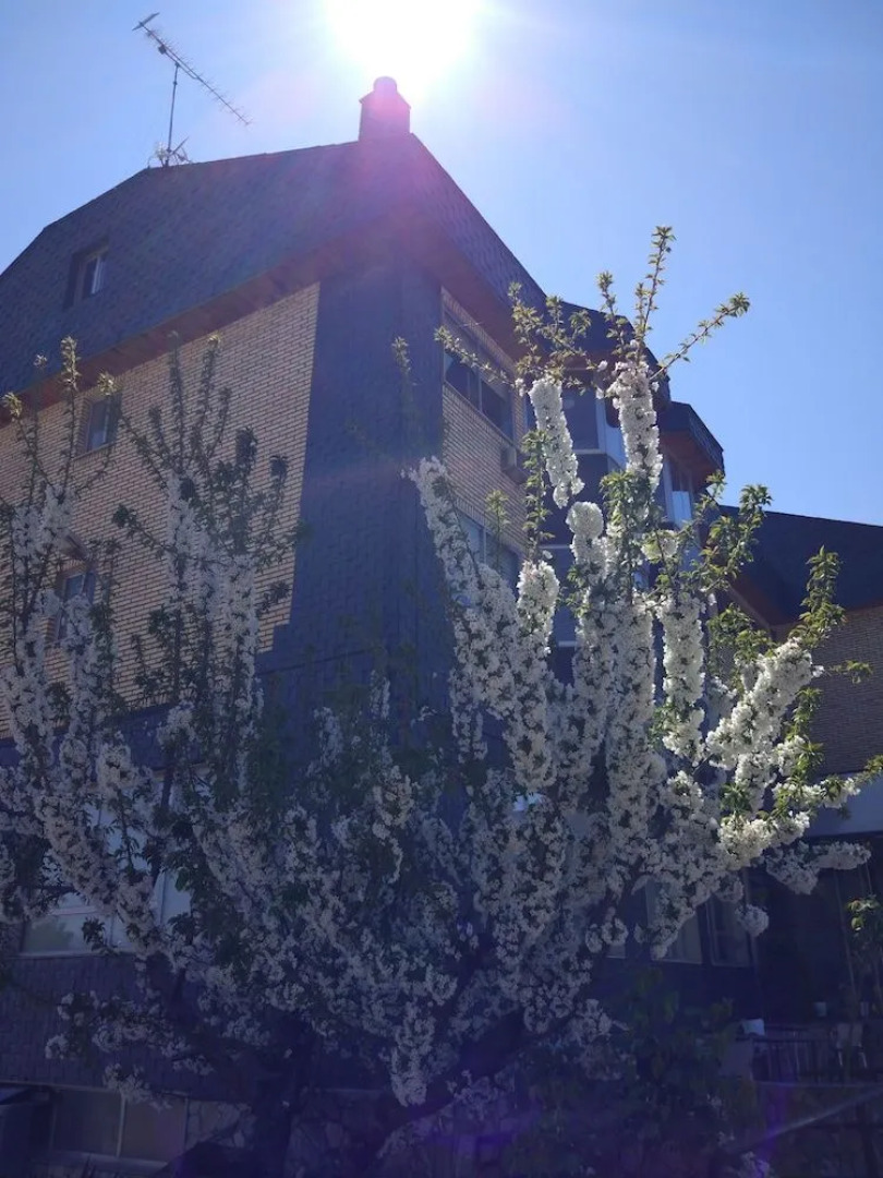 Hotel Restaurante Los Rosales