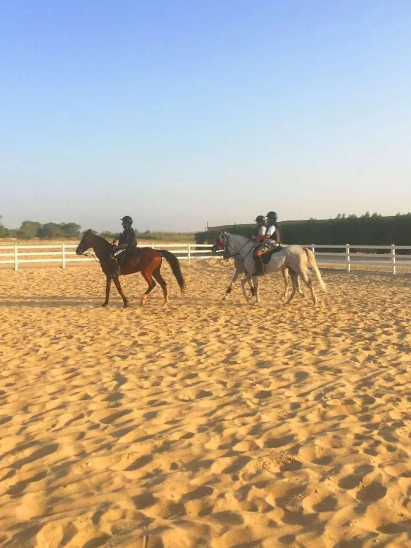 Golden Tulip Dana Bay Hotel