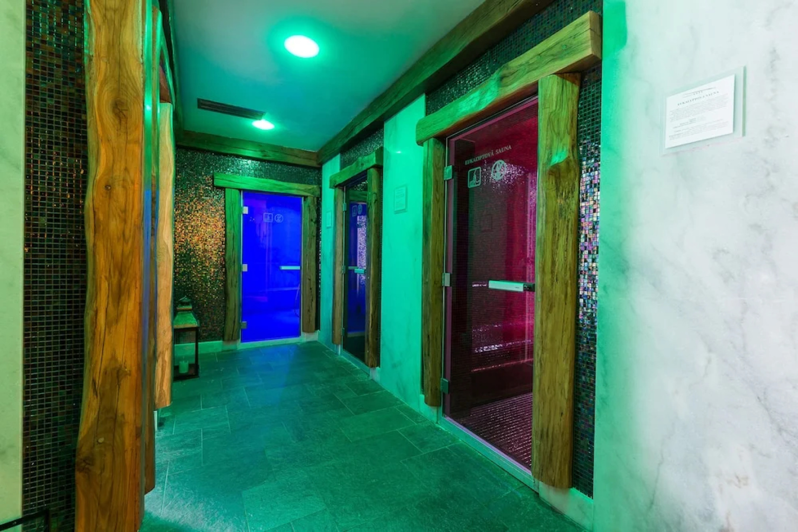 Wellness Hotel Borovica